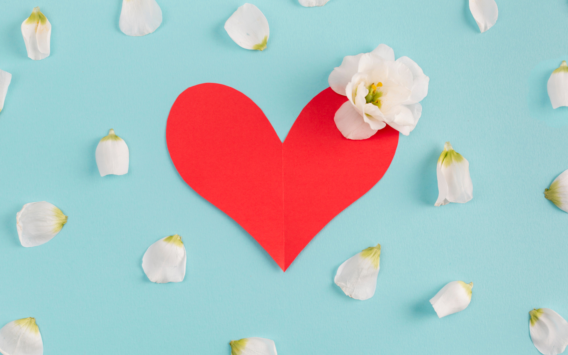 Красное сердце с белыми лепестками на голубом фоне