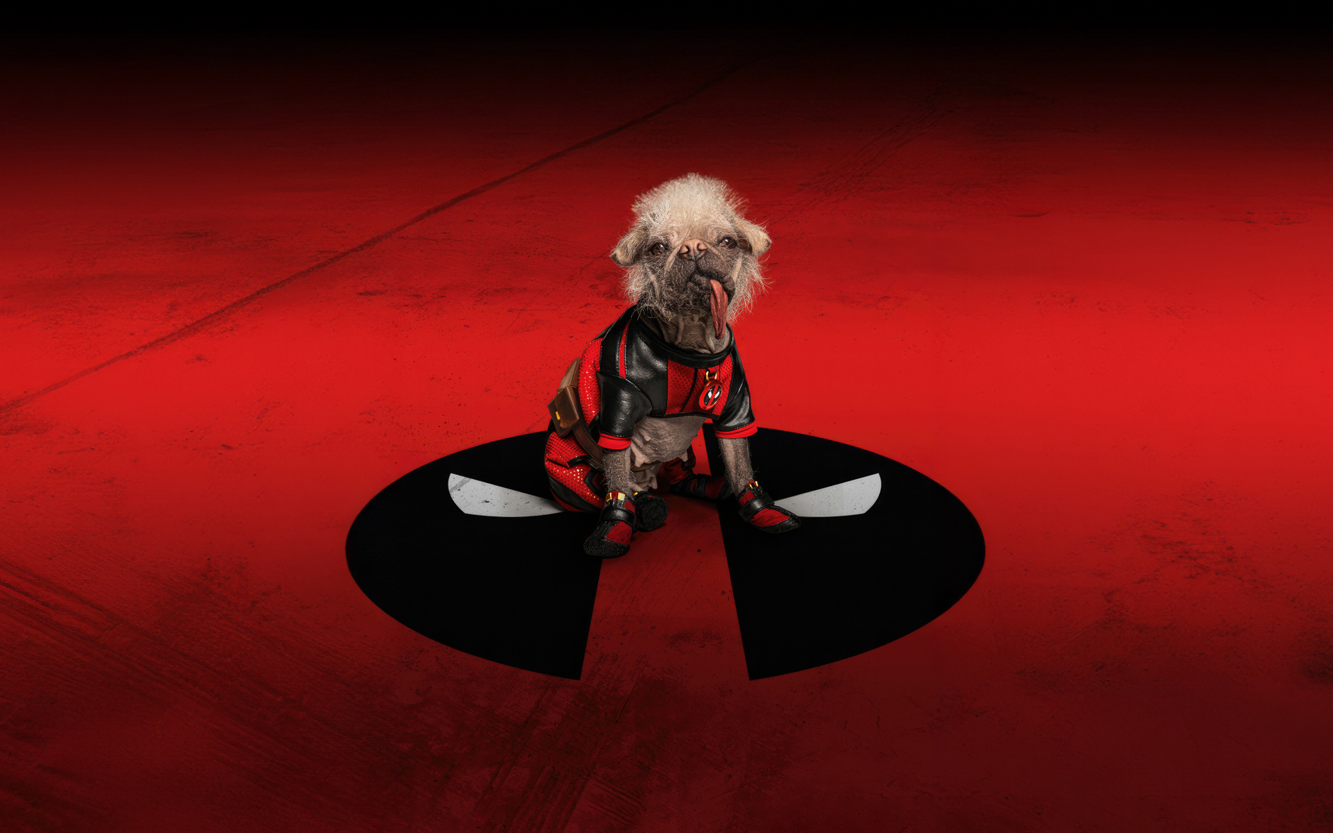 Собака на красном фоне фильм Дэдпул и Росомаха 2024