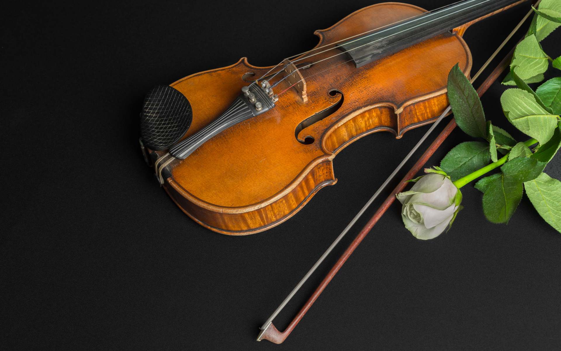 Деревянная скрипка с белой розой на черном столе