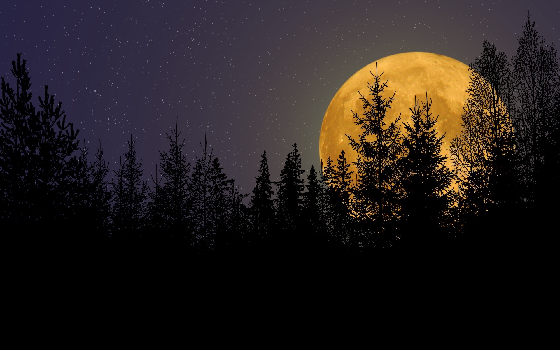 Большая желтая луна прячется за елями