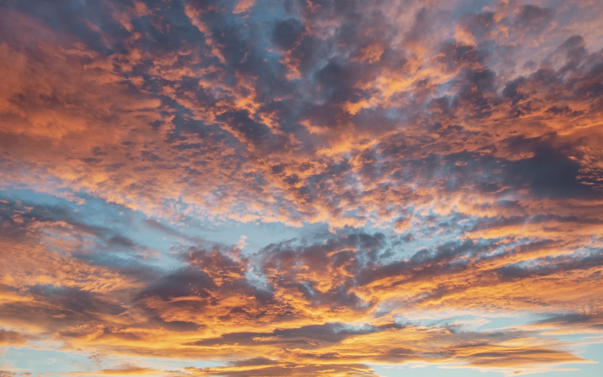 Густые темные облака в небе