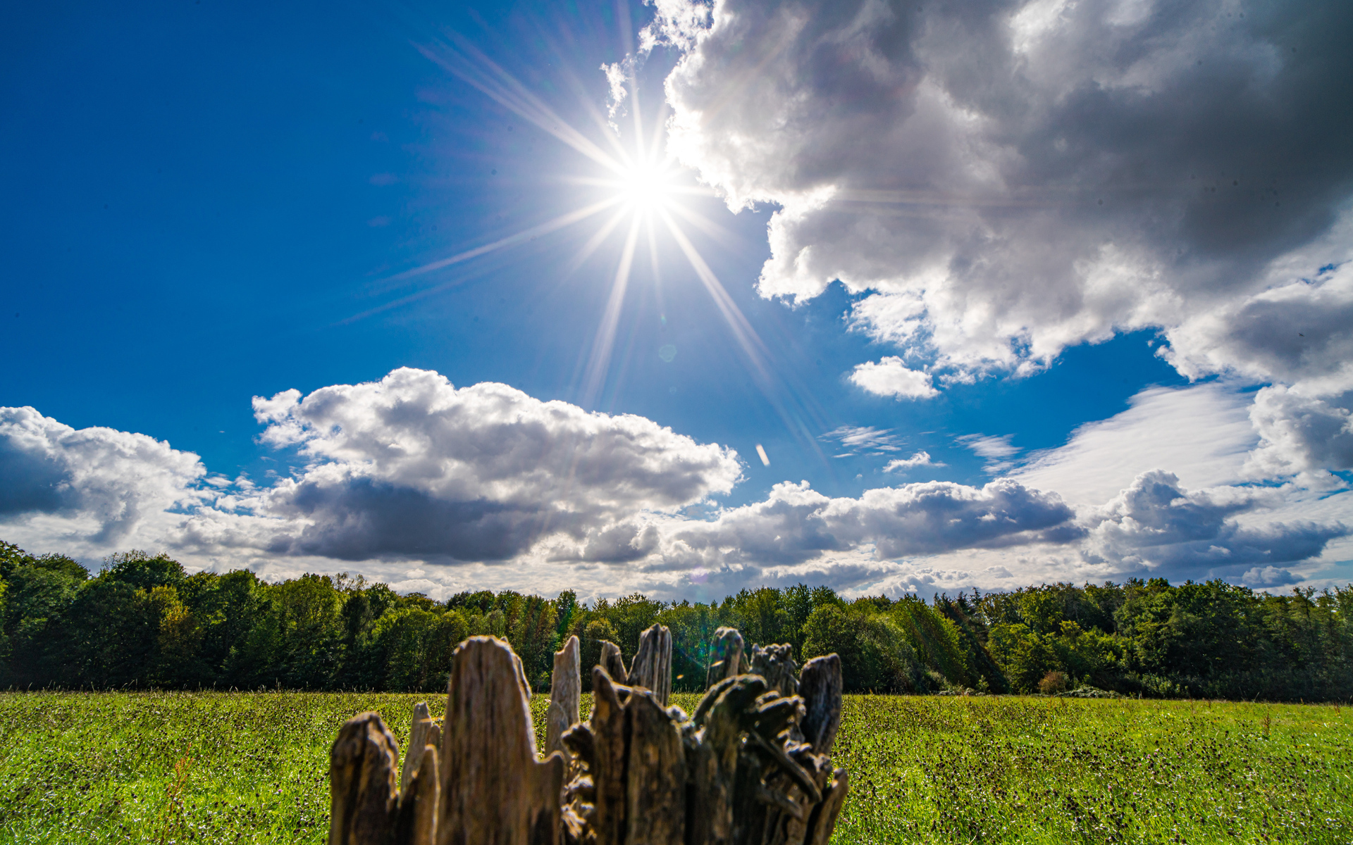 Солнце в голубом небе с белыми облаками над полем