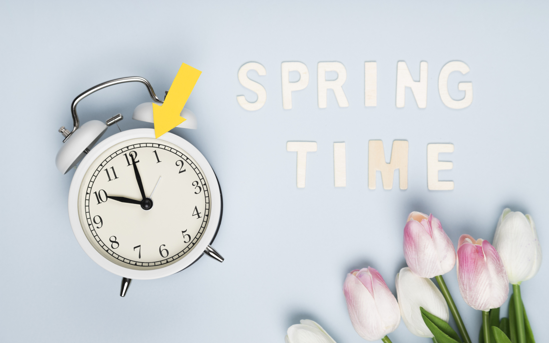 Будильник на голубом фоне с тюльпанами и надписью