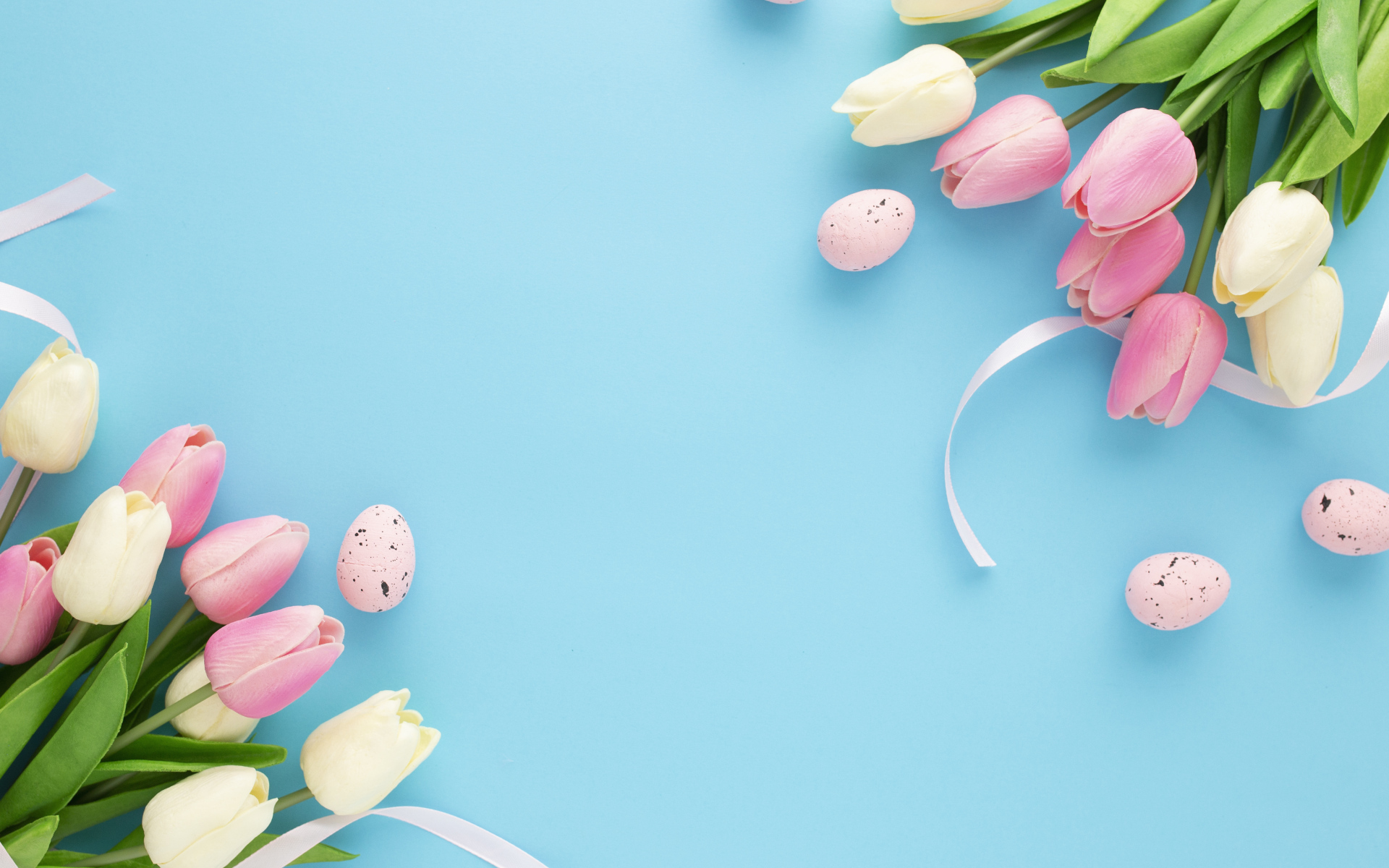 Красивые тюльпаны с яйцами на голубом фоне