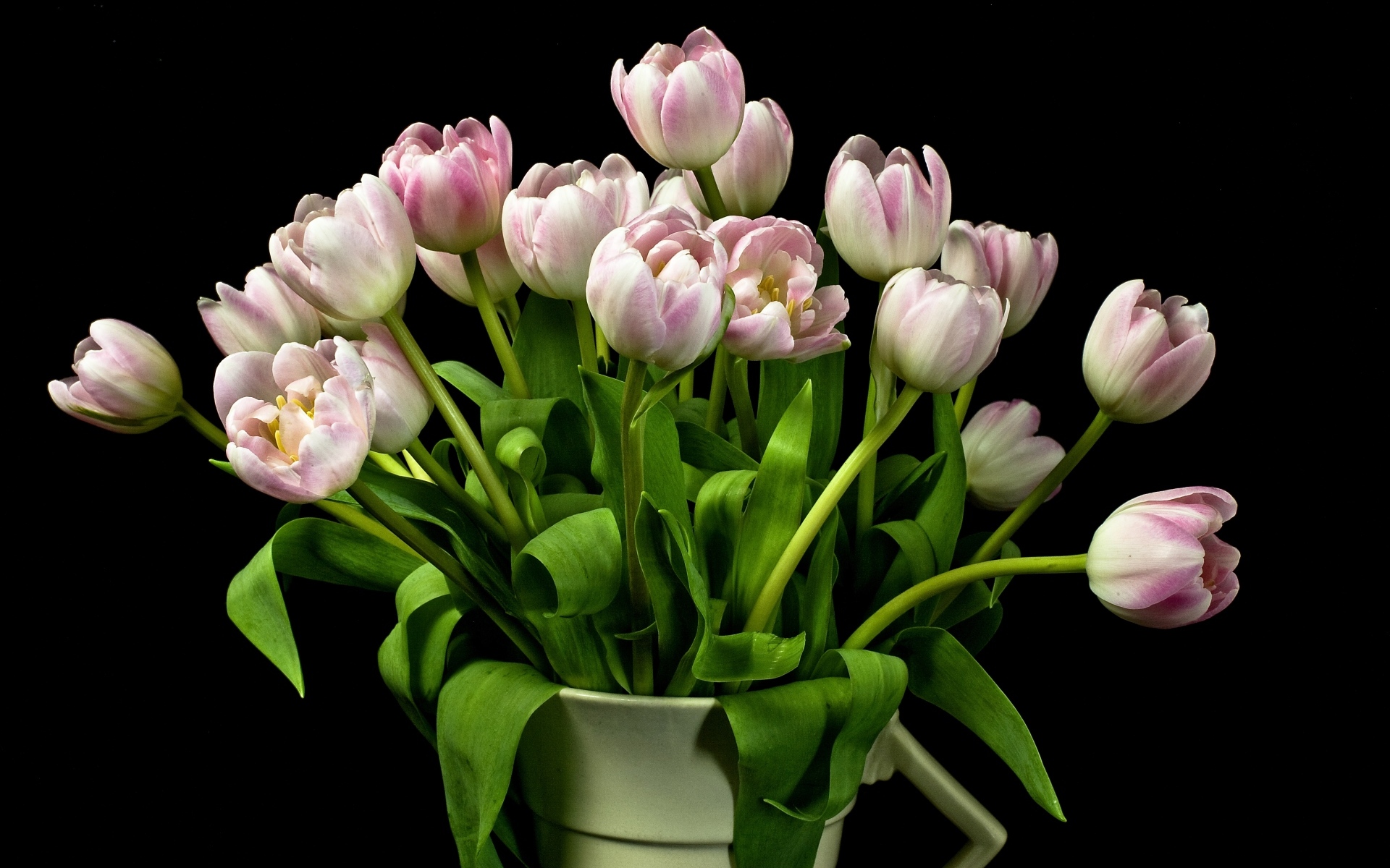 Букет розовых тюльпанов в вазе на черном фоне