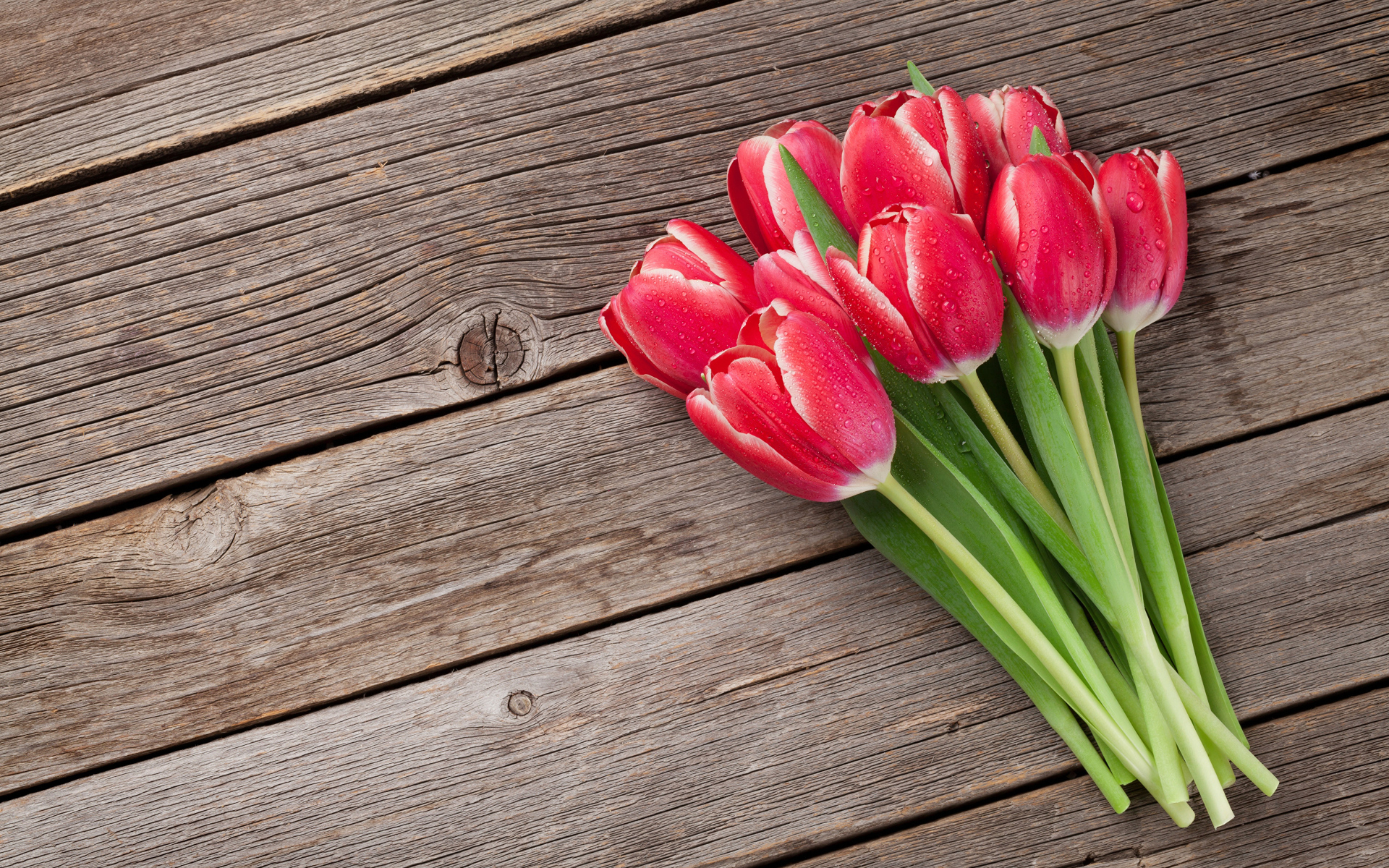 Букет мокрых красных тюльпанов на деревянном столе