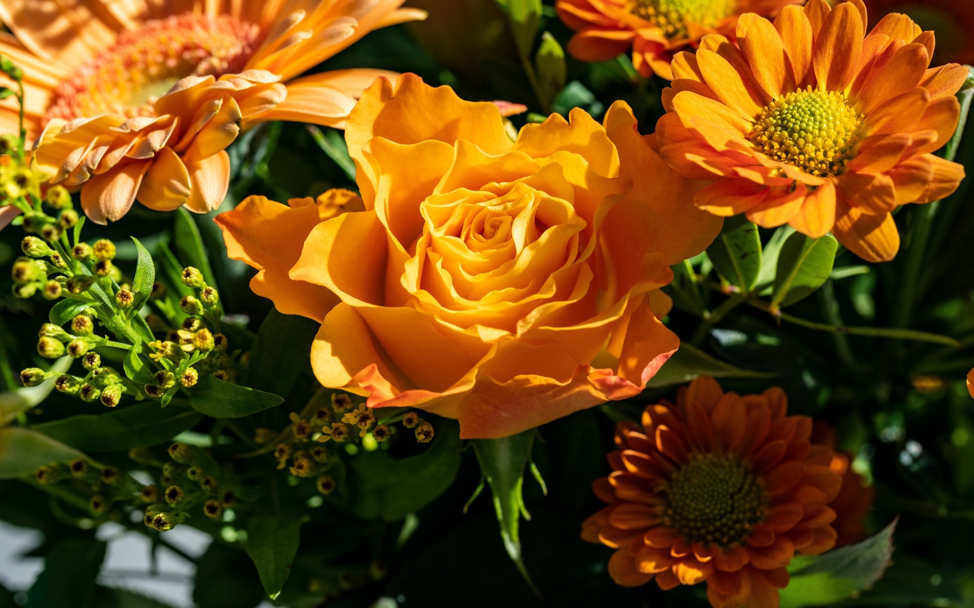 Оранжевые розы и хризантемы крупным планом