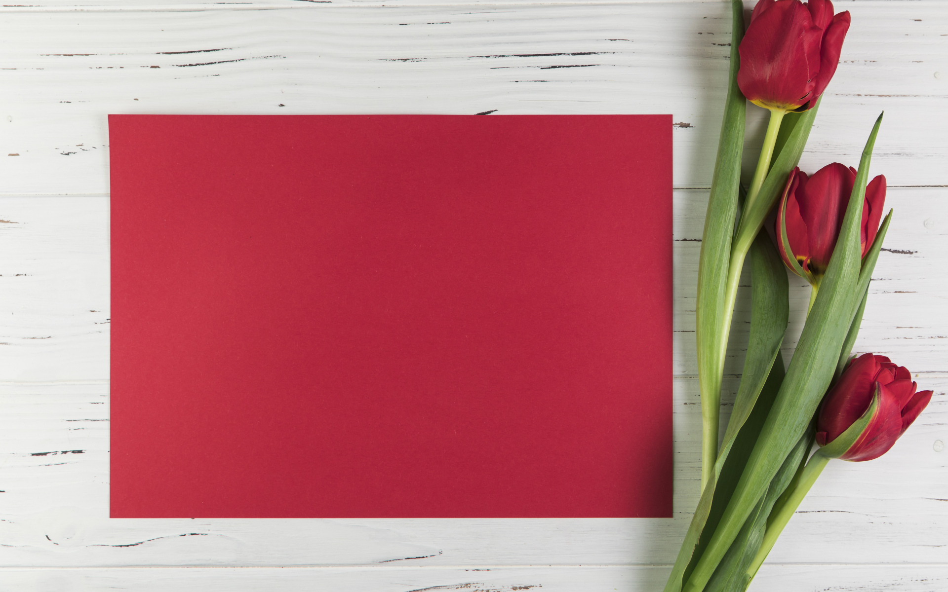 Красный лист бумаги с тюльпанами для шаблона поздравительной открытки