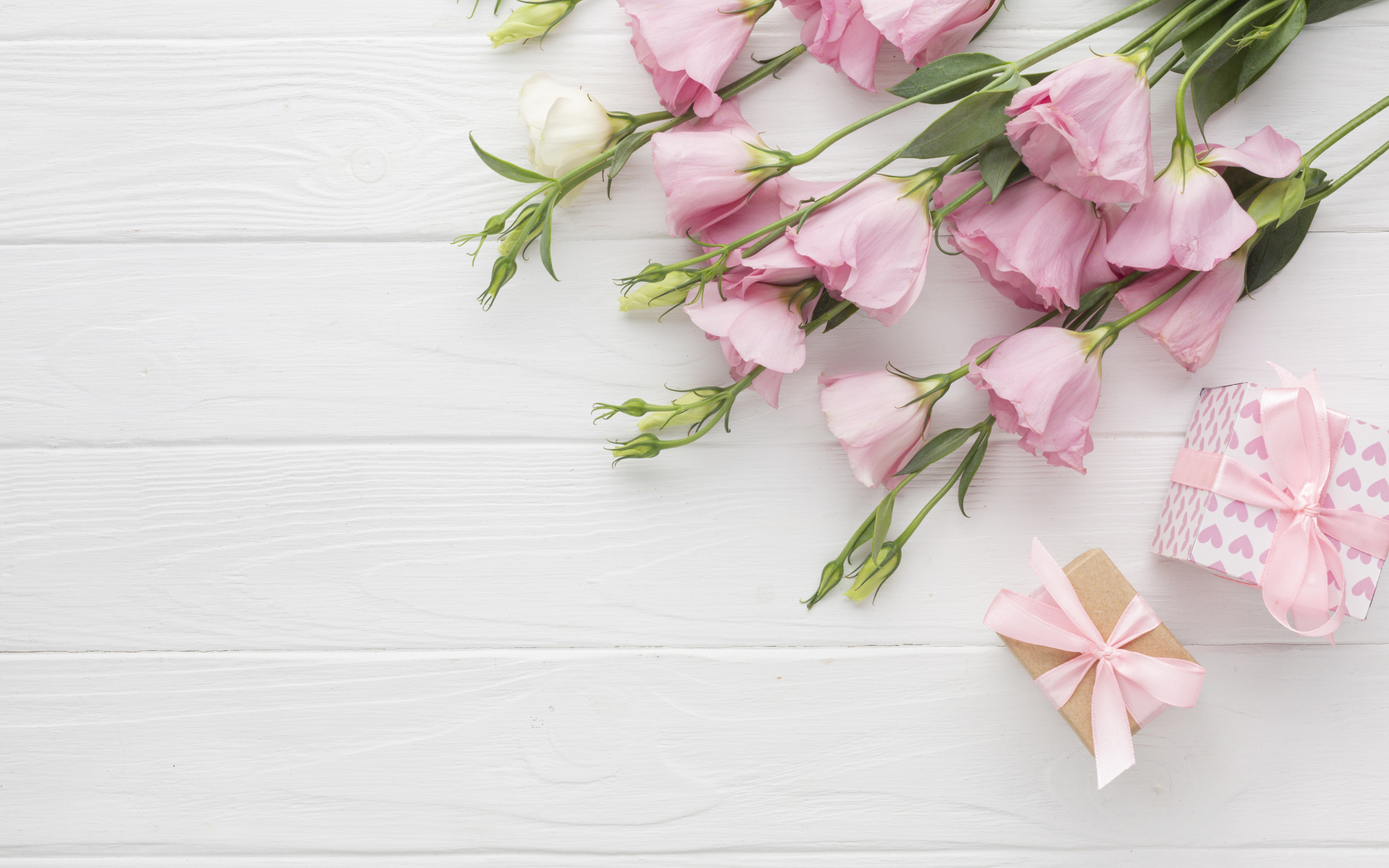 Нежна розовая эустома с подарками на белом фоне