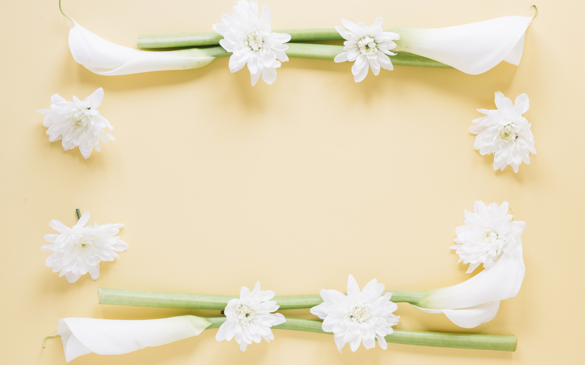 Белые каллы с хризантемами на желтом фоне