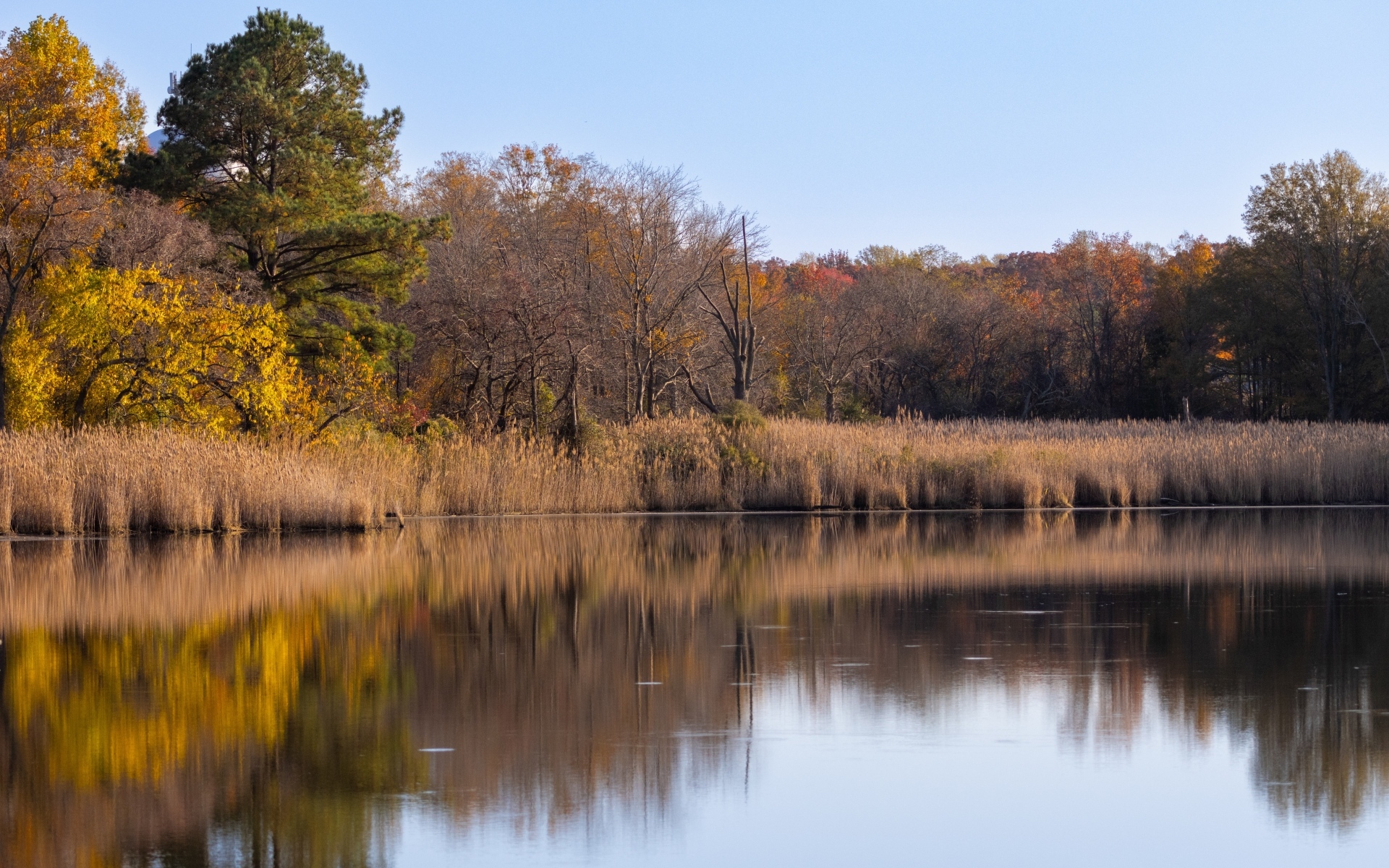 Спокойное озеро в лесу осенью 