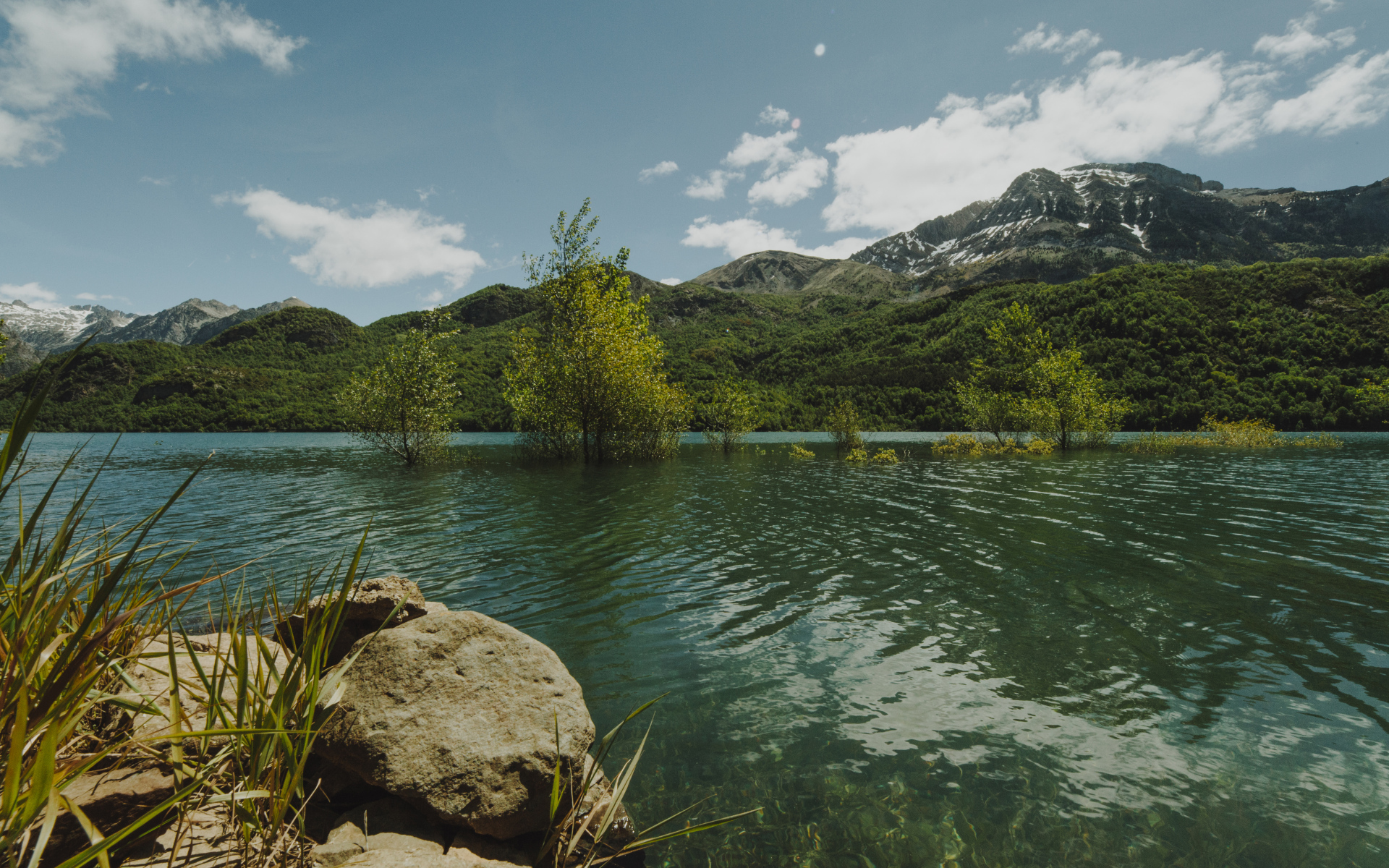 Зеленая вода в реке на фоне гор 