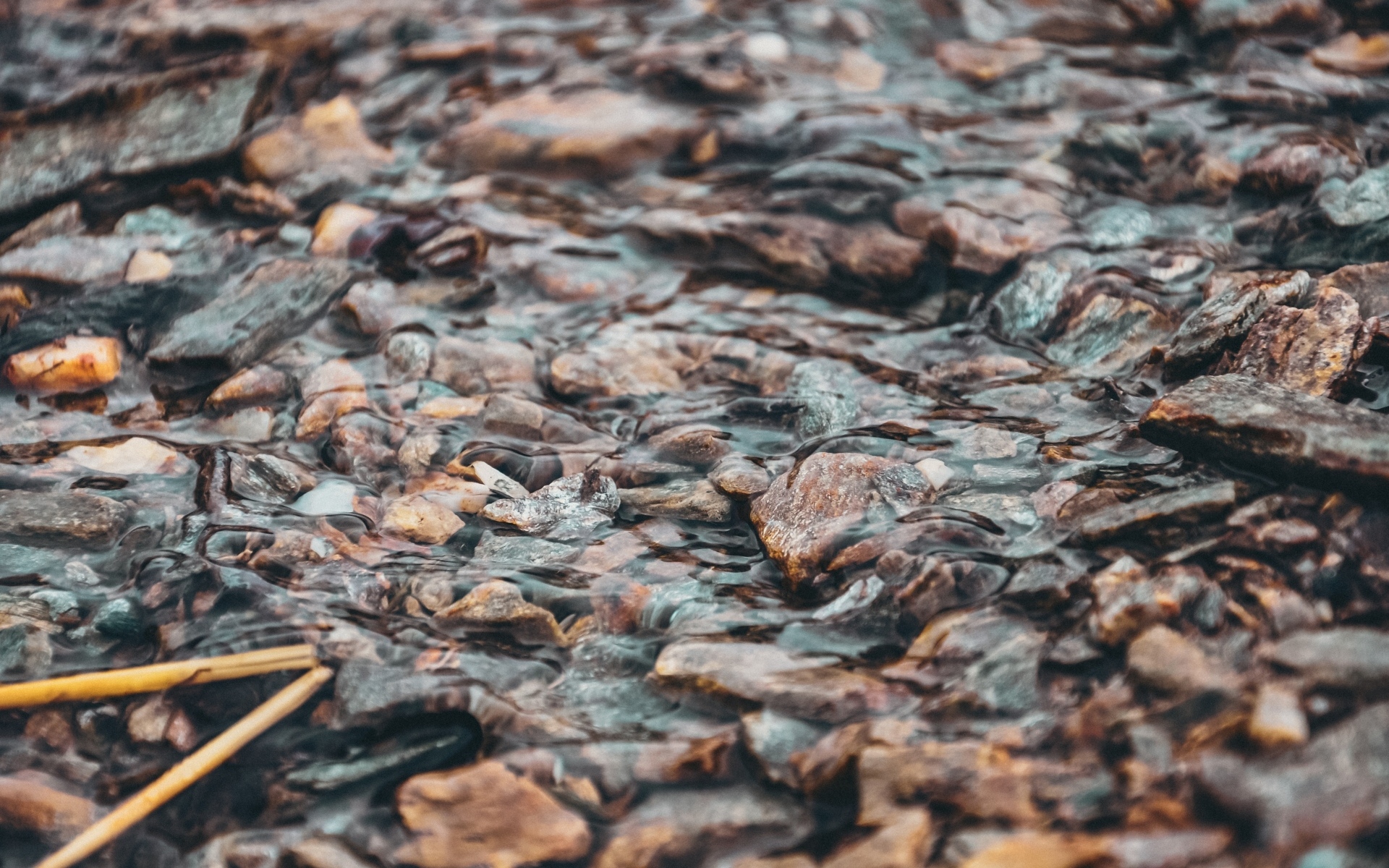 Мелкая река с камнями