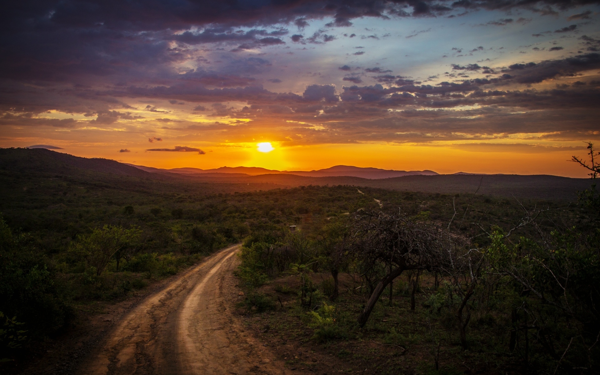 Красивый закат яркого летнего солнца над дорогой