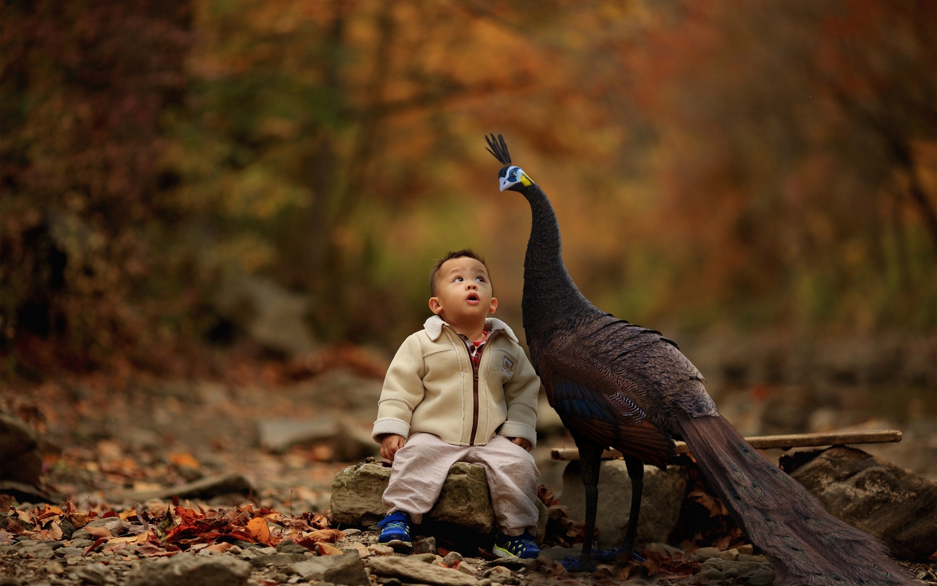 Мальчик с павлином в парке