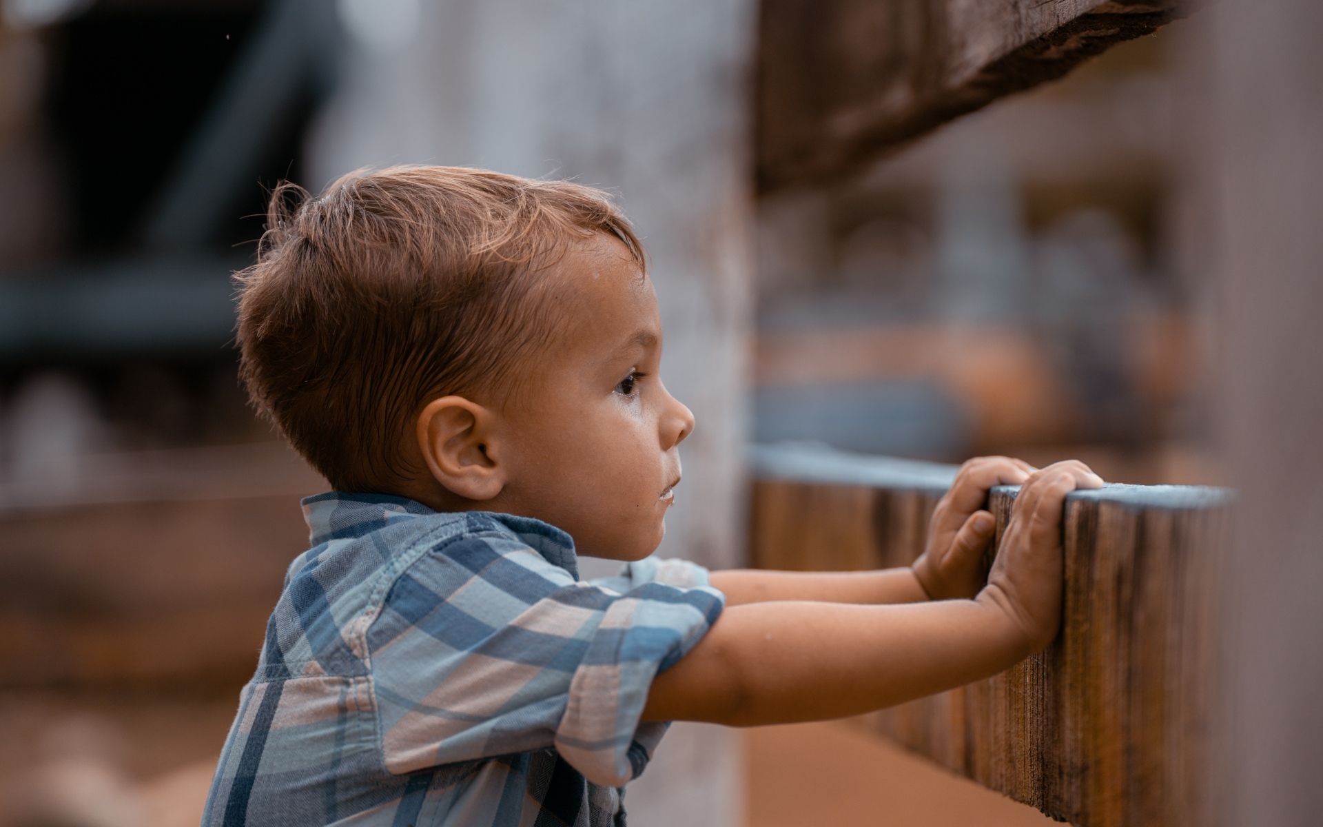 Любопытный мальчик в рубашке