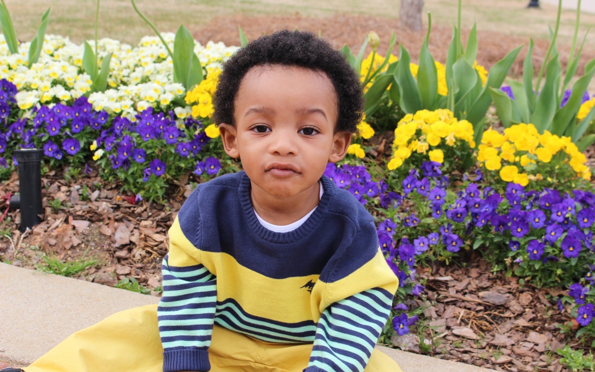 Темнокожий мальчик у клумбы с цветами 