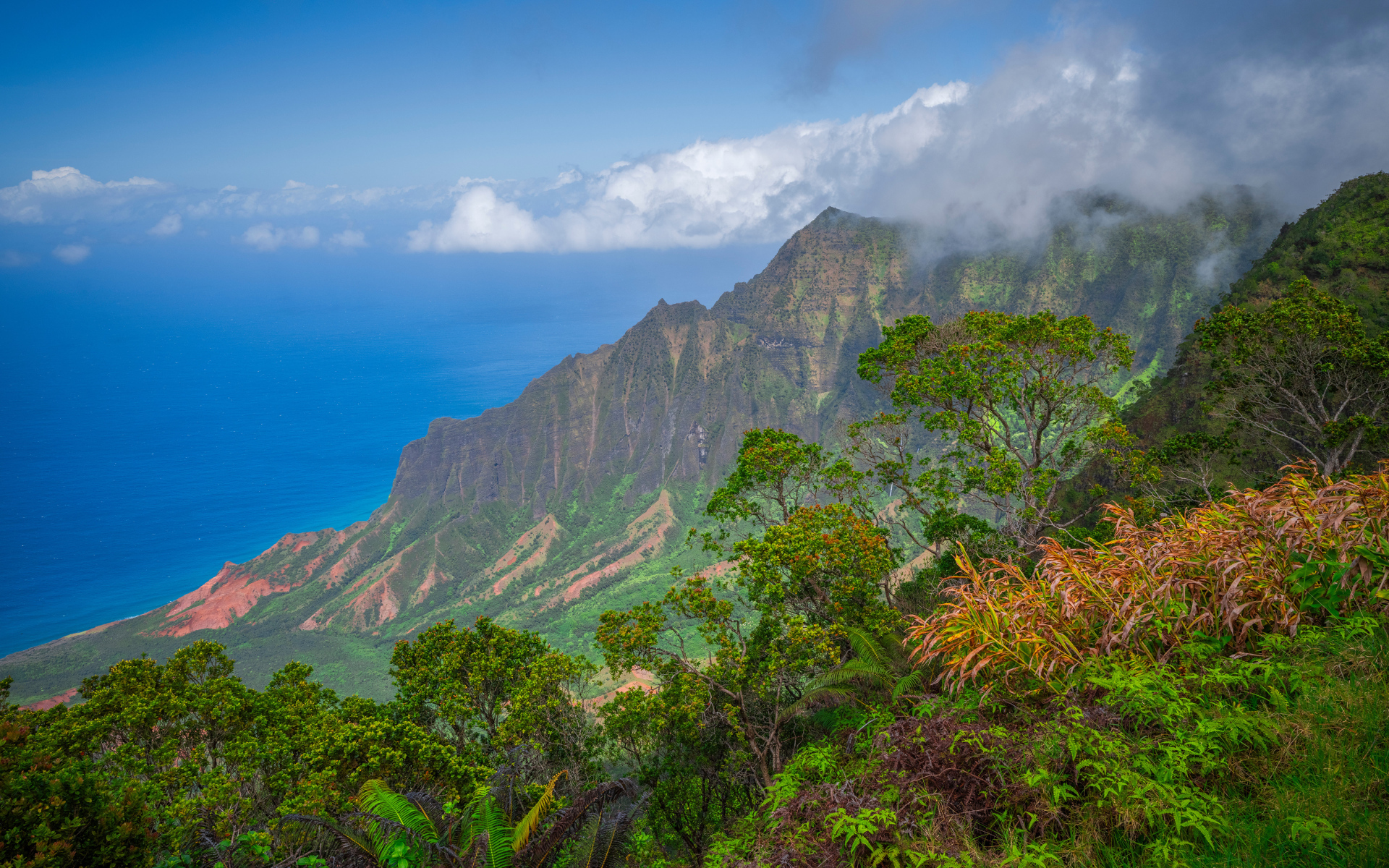 Покрытые зеленью горы на Гавайских островах, США
