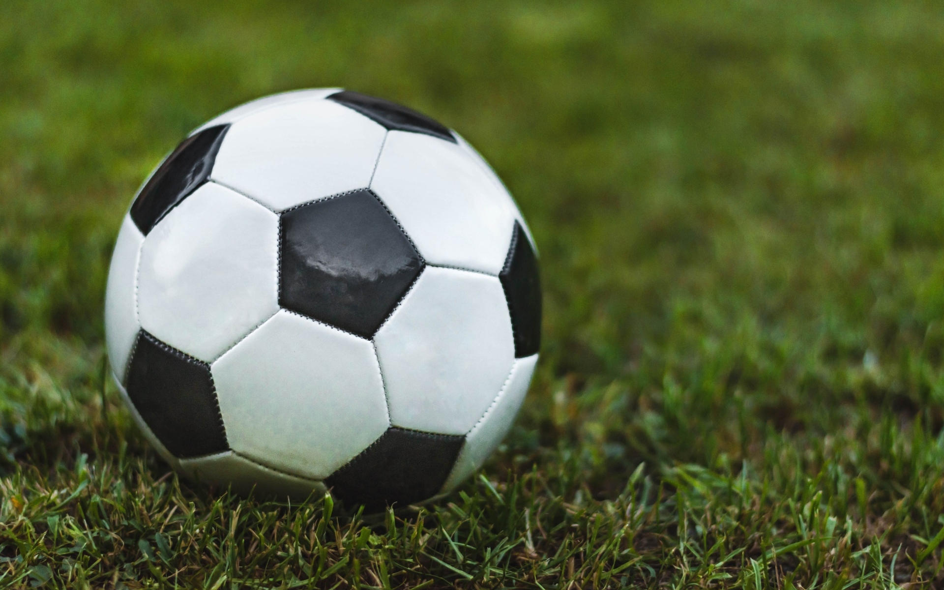 Футбольный мяч лежит на зеленой траве 