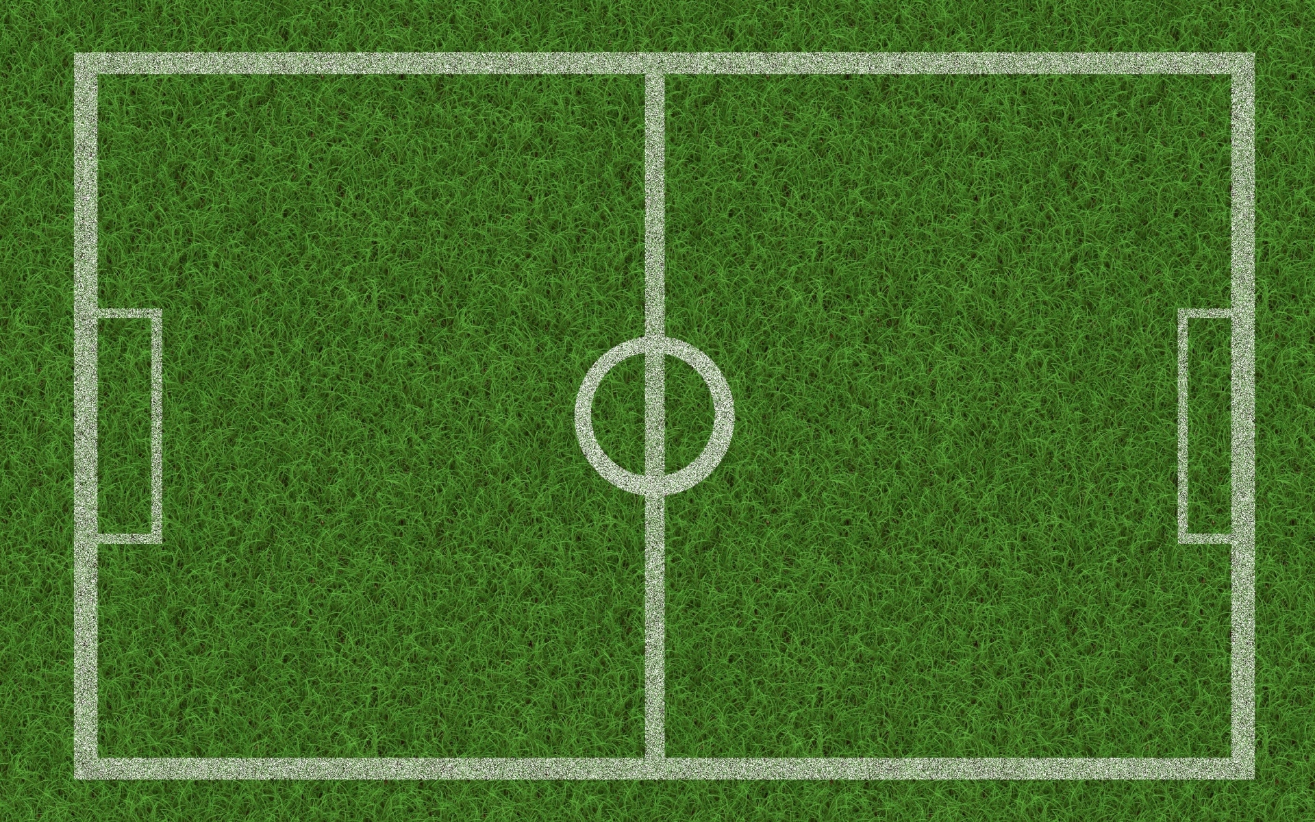 Поле расчерчено белыми линиями на зеленой траве