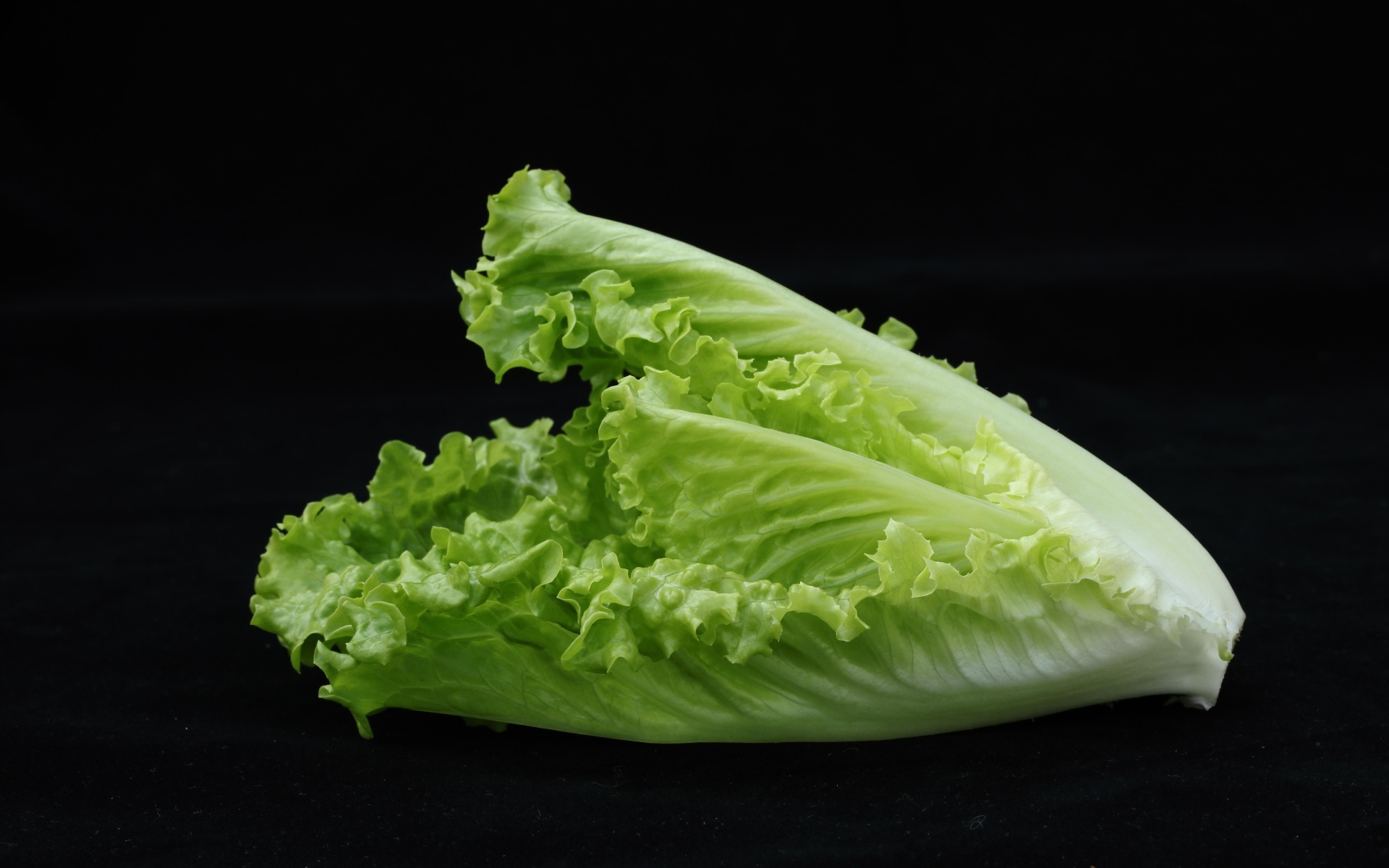 Салат латук на черном фоне
