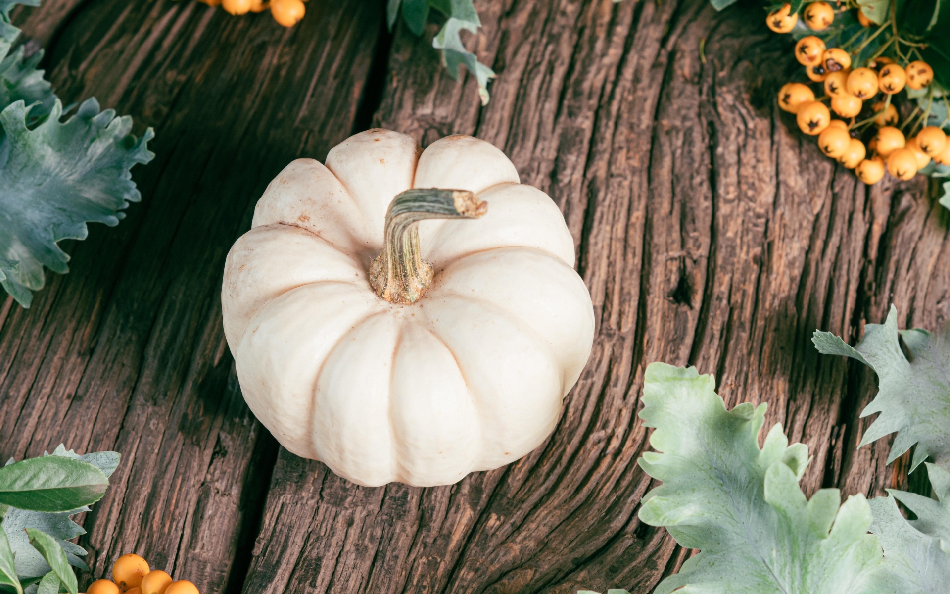 Тыква на столе с ягодами рябины