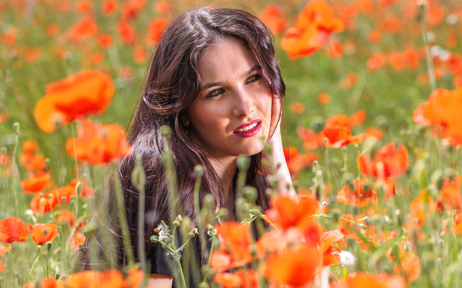Молодая кареглазая девушка лежит на поле с красными маками
