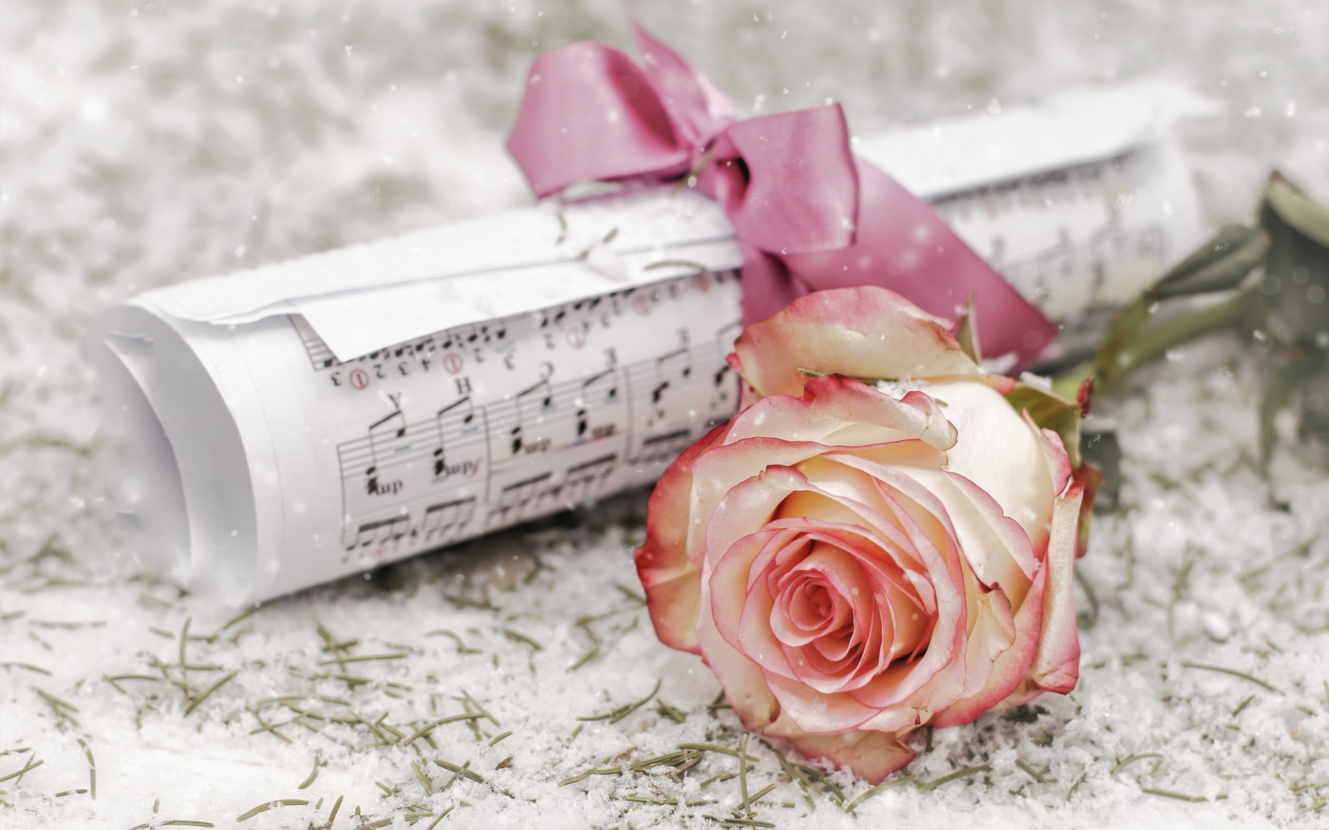 Роза и сверток с нотами лежит на снегу