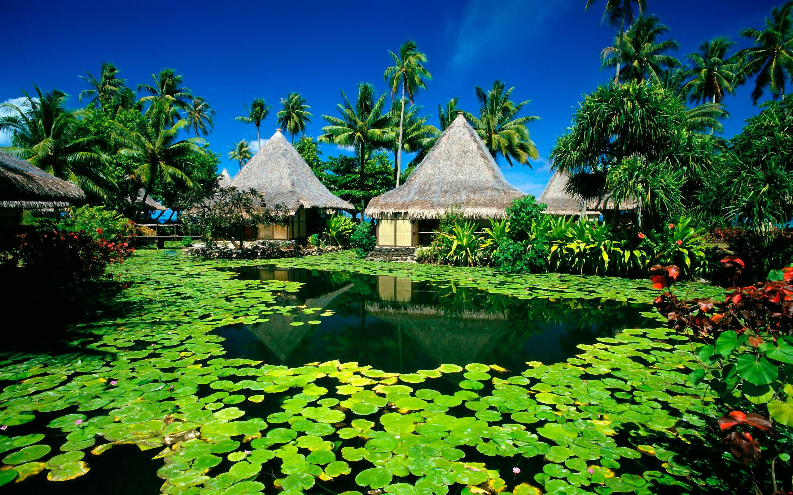Экзотическая природа. Парадиз остров Карибского моря. Остров Таити природа. Бали рай. Бали остров пальмы.