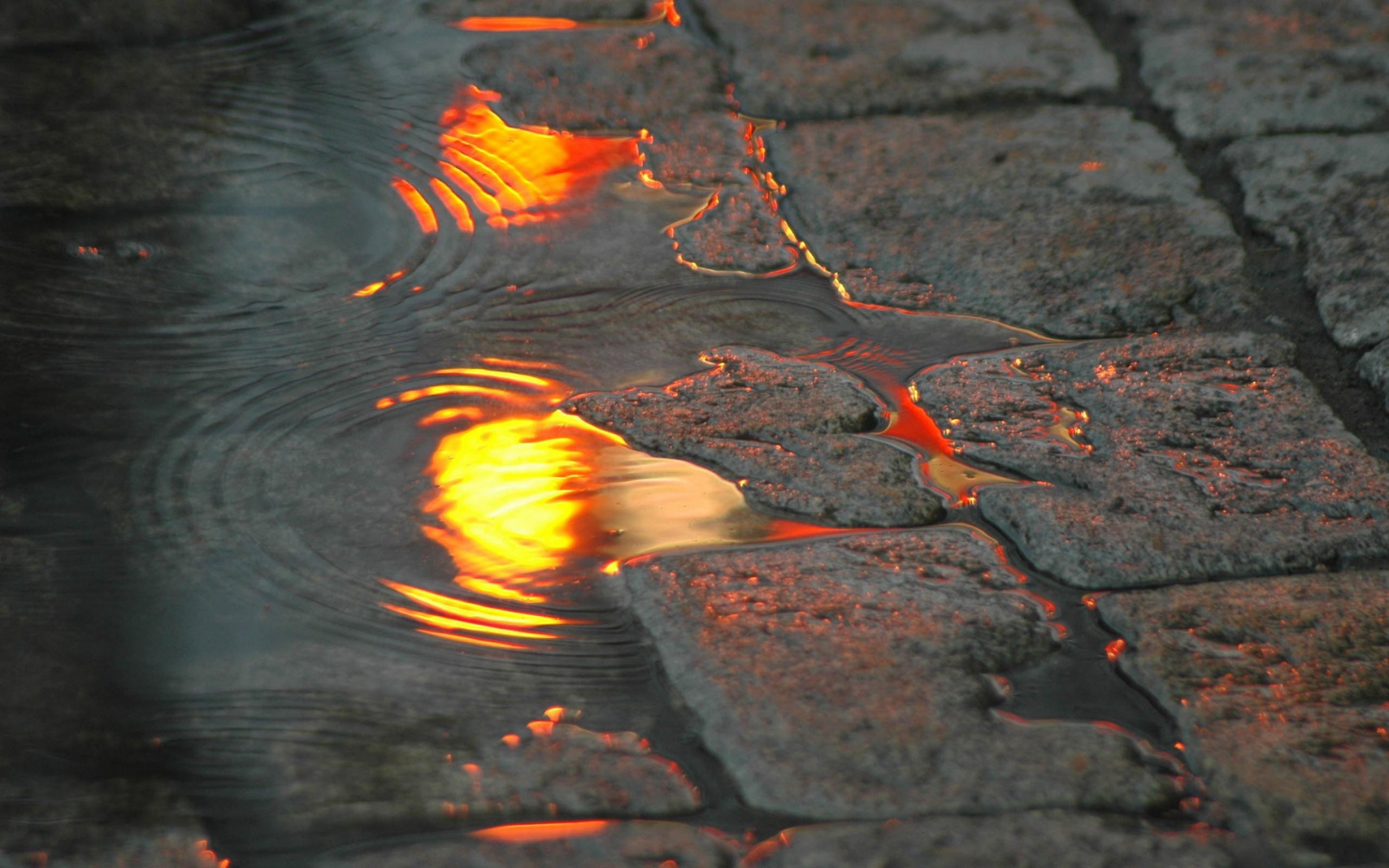 Тротуарная плитка