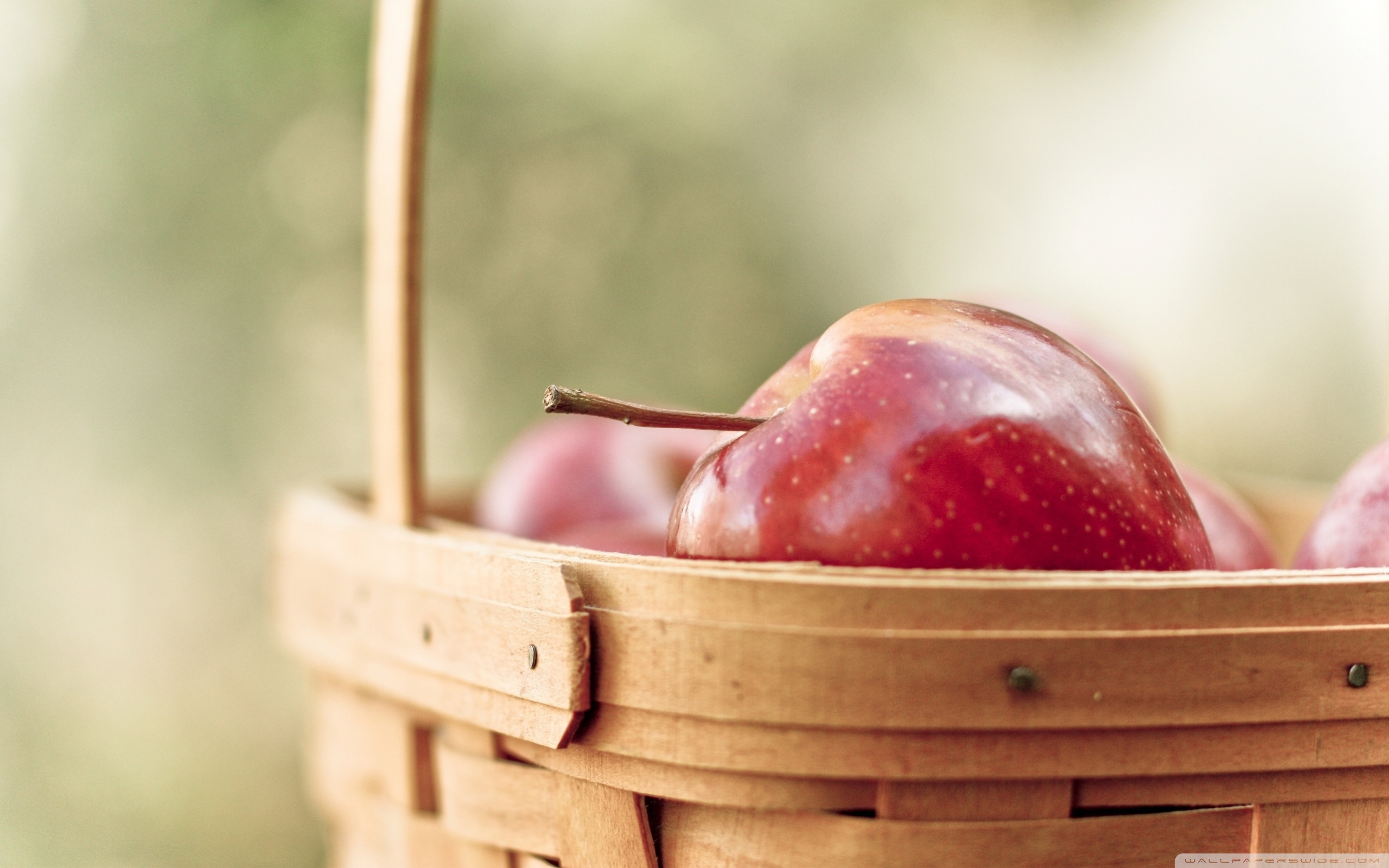 Корзина с яблоками