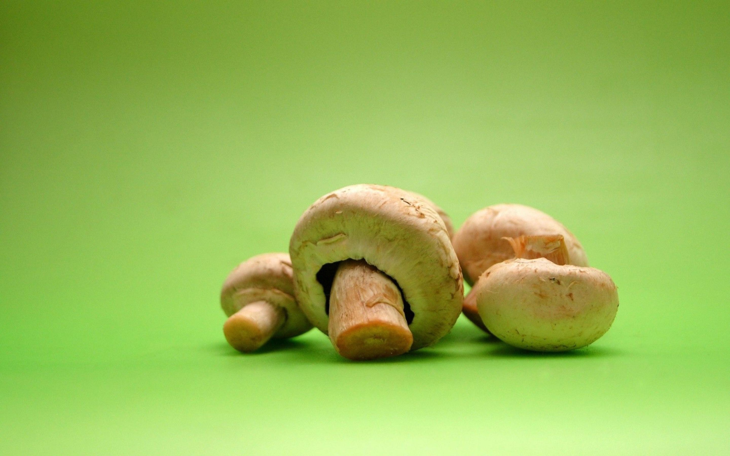 Грибы на зеленом фоне