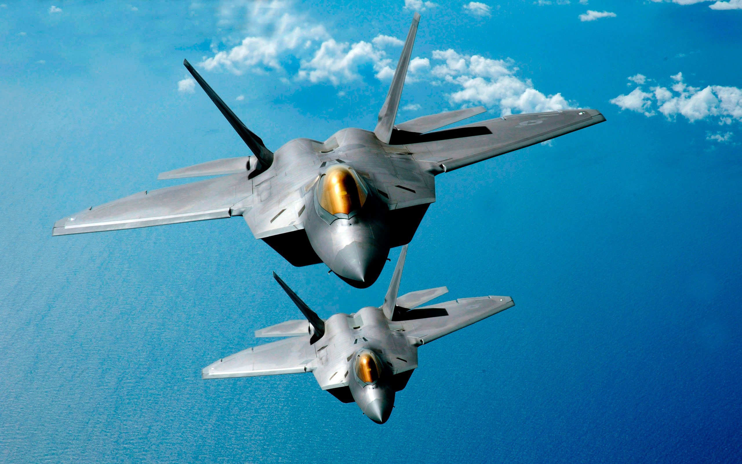 F-22 Raptor