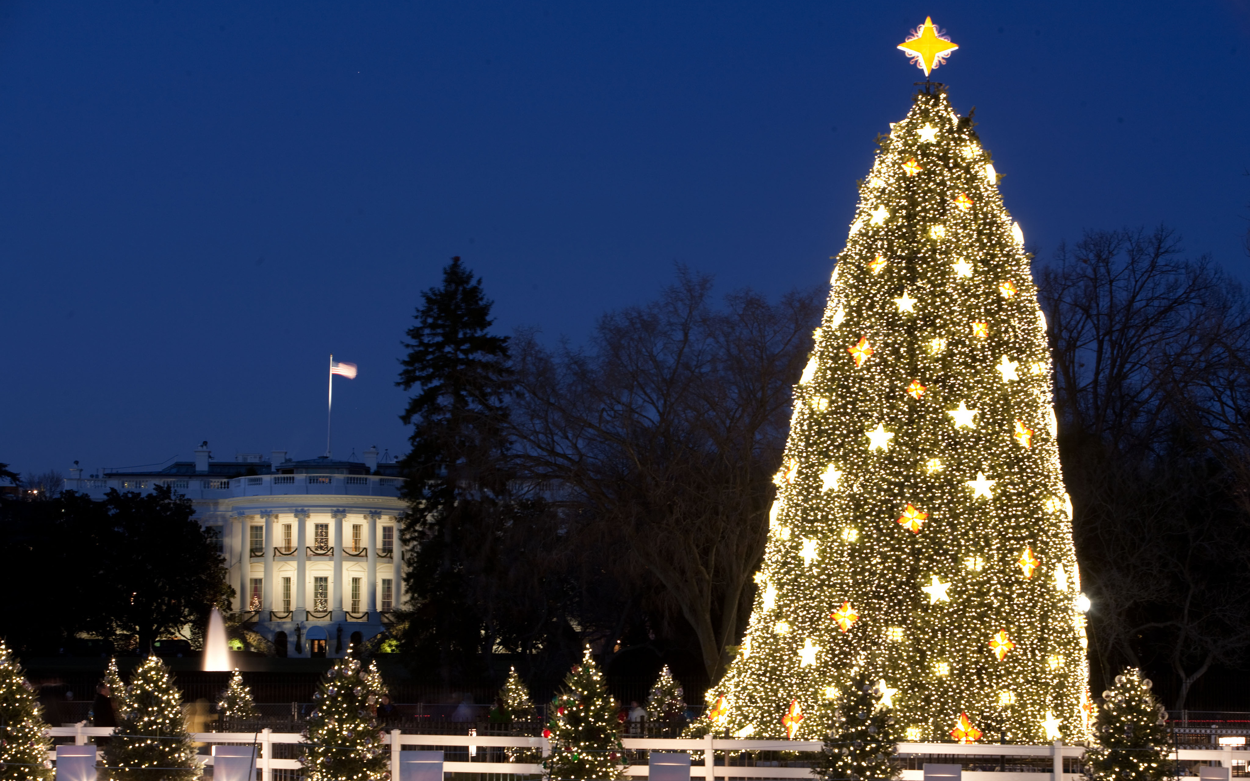 Большая ёлка в городе на рождество