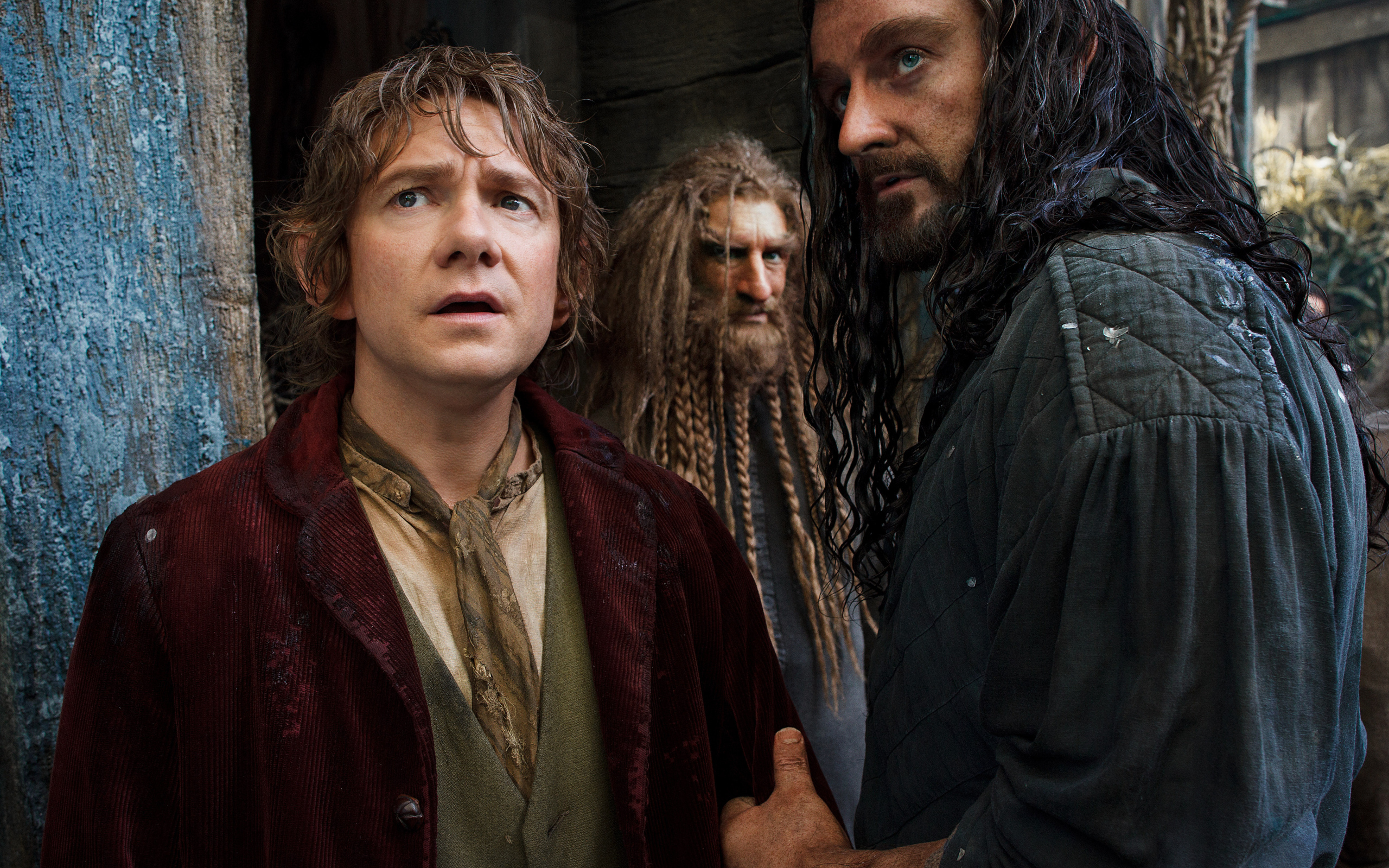 Хоббит: Пустошь Смауга Бильбо и Торин