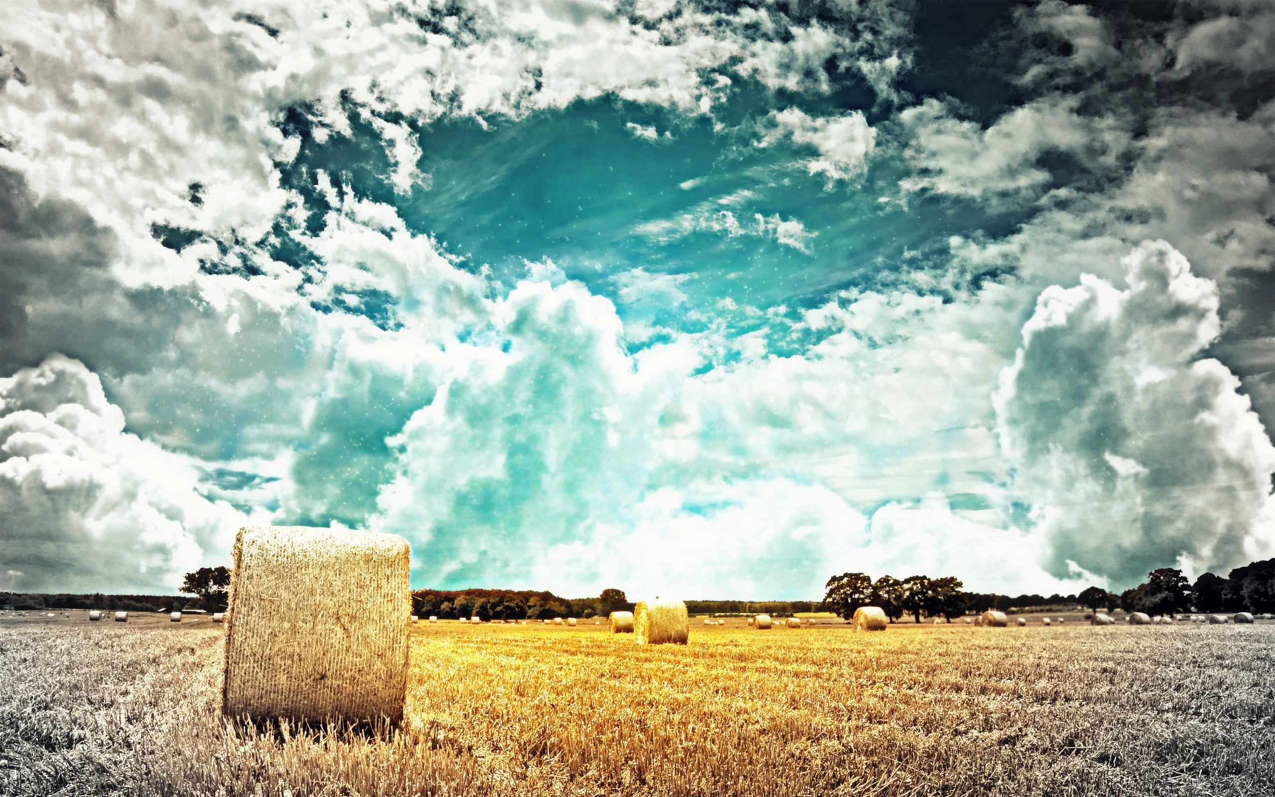 Тучи над полем