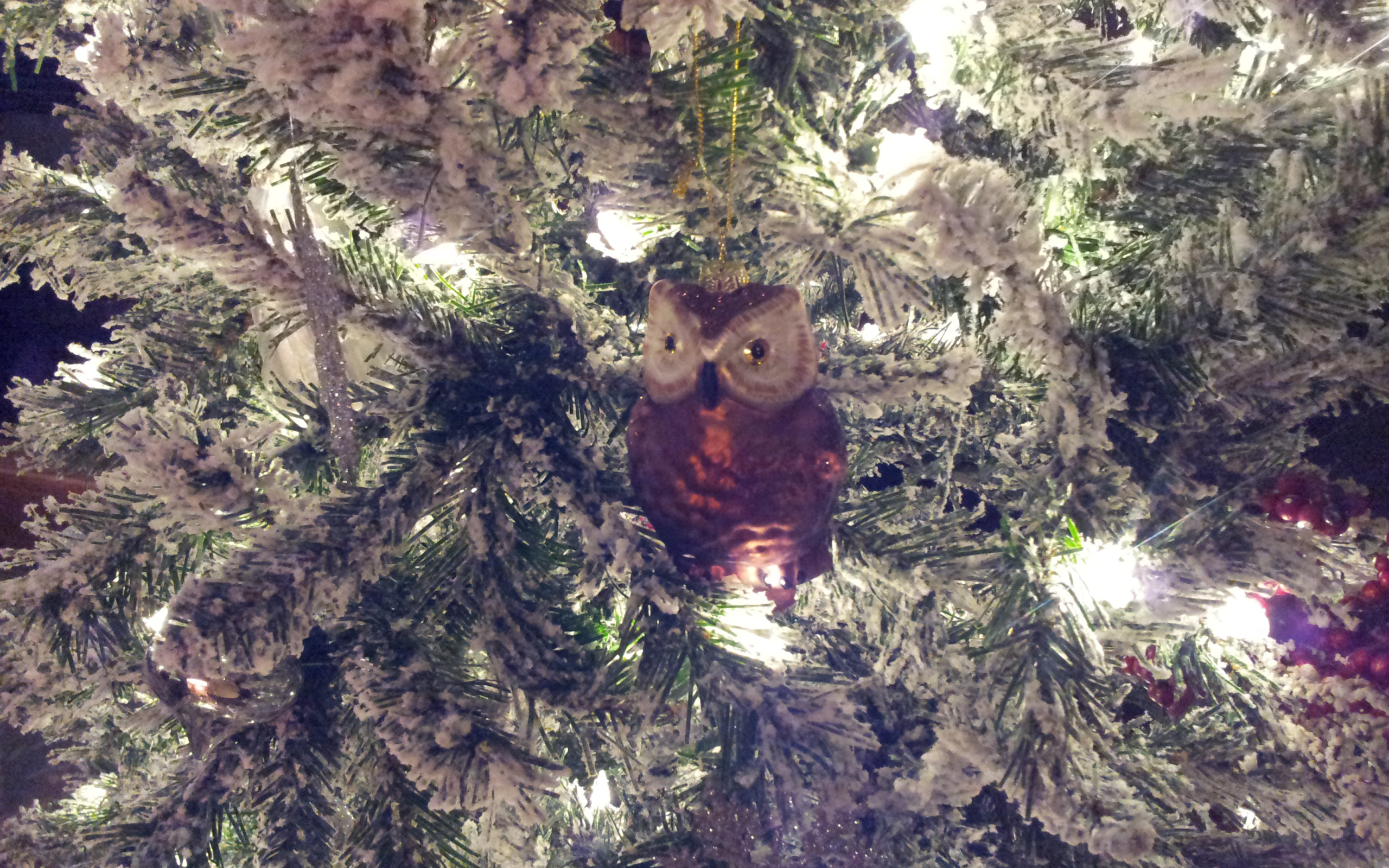 Зимний снег новогодняя елка