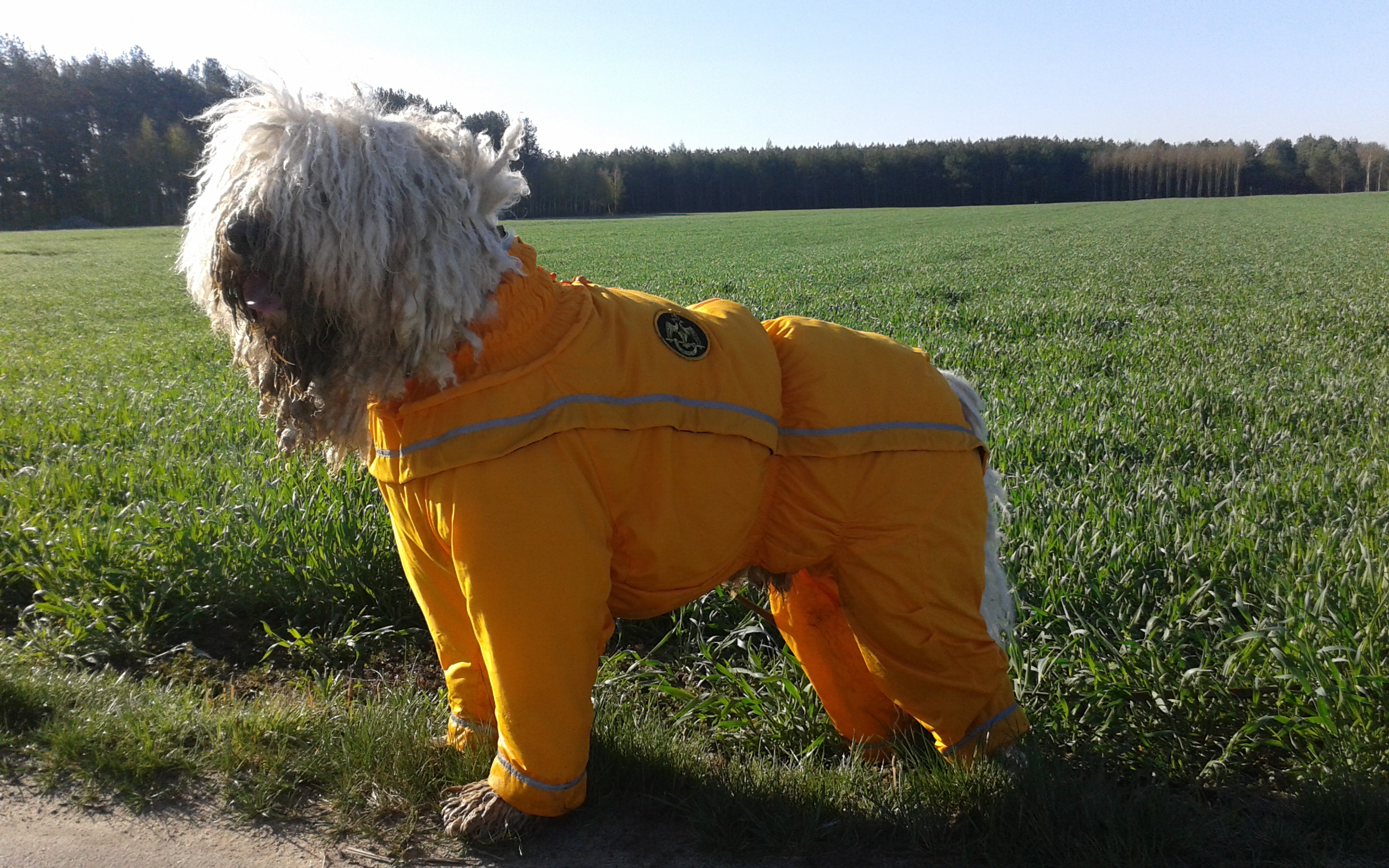 Комбинезон для комондора