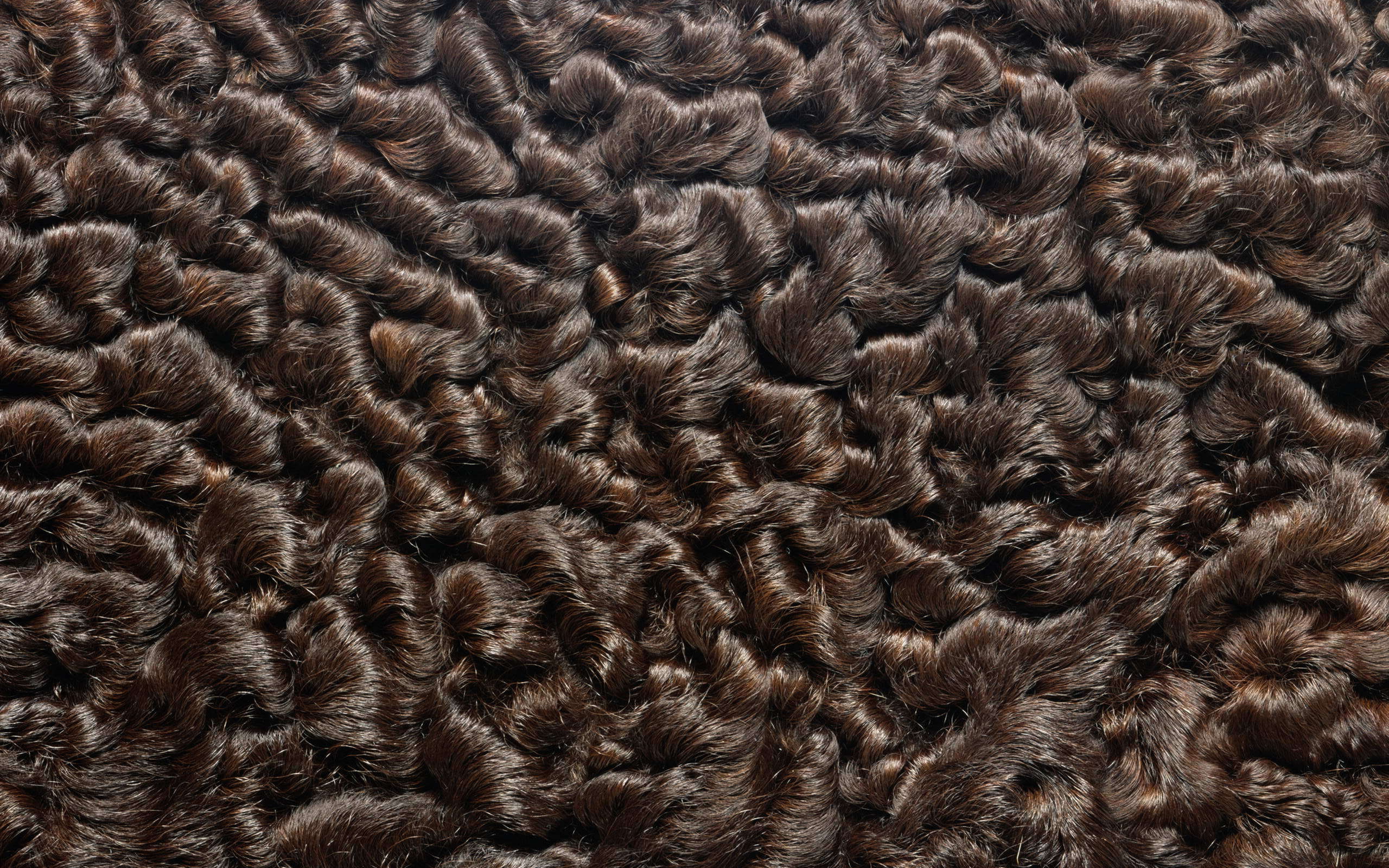 Мех каракуль