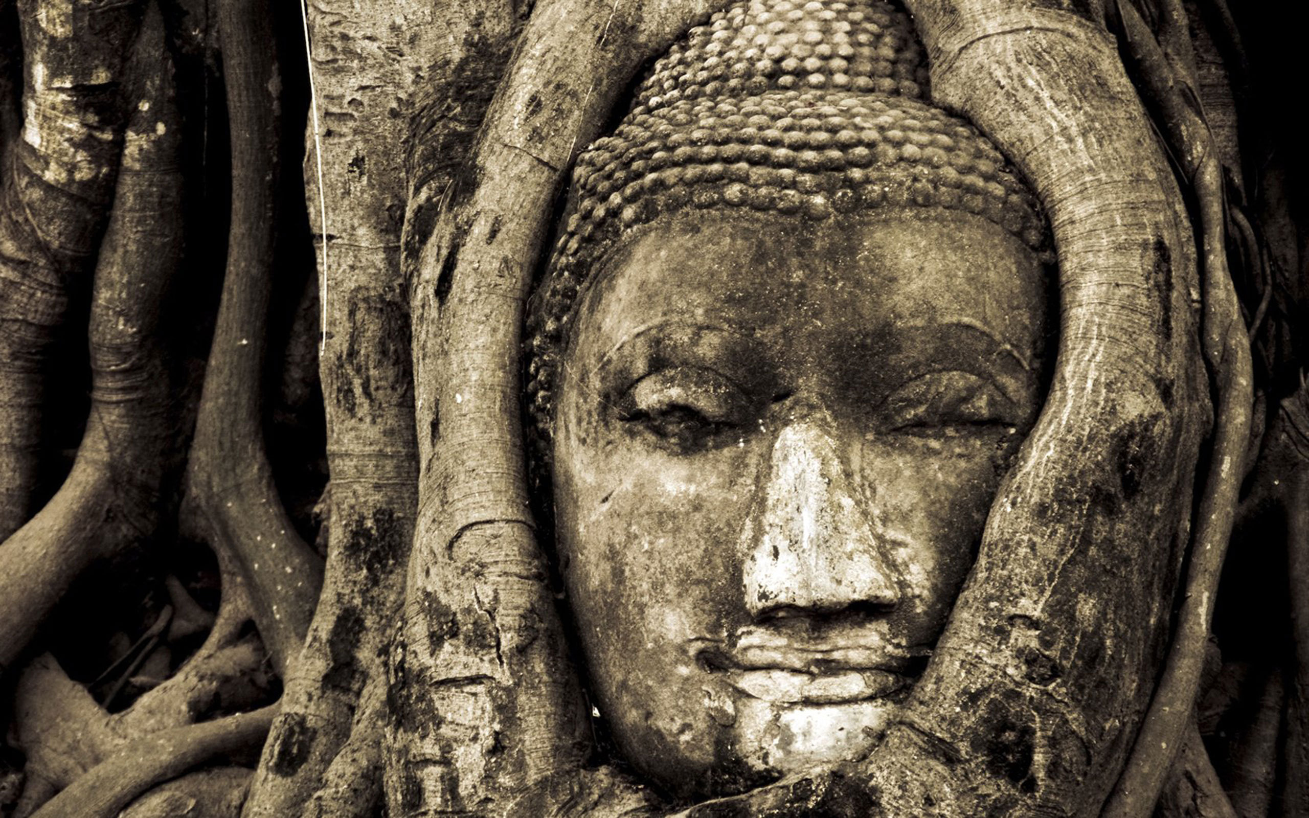 Лицо Будды в дереве