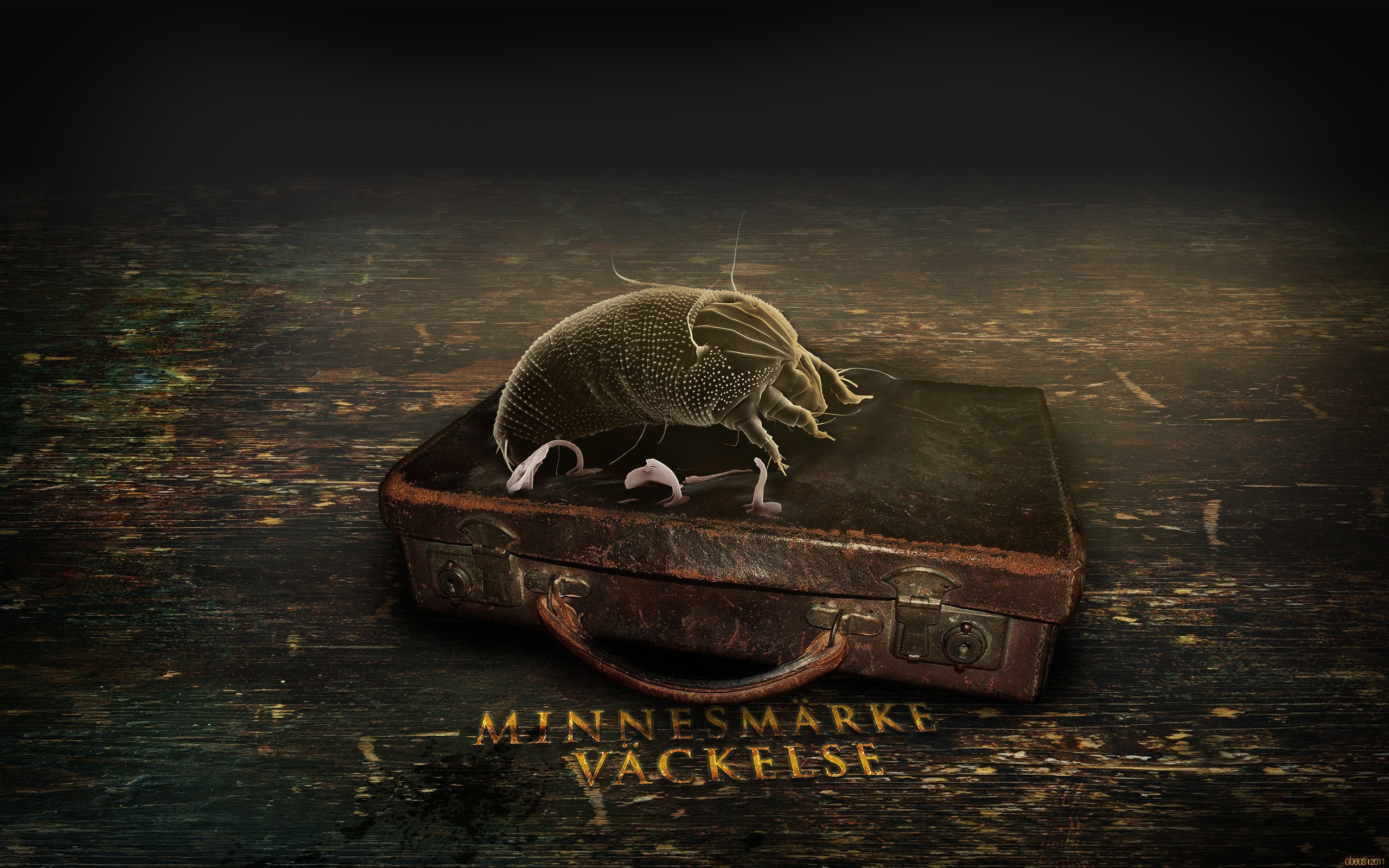 Старый чемодан