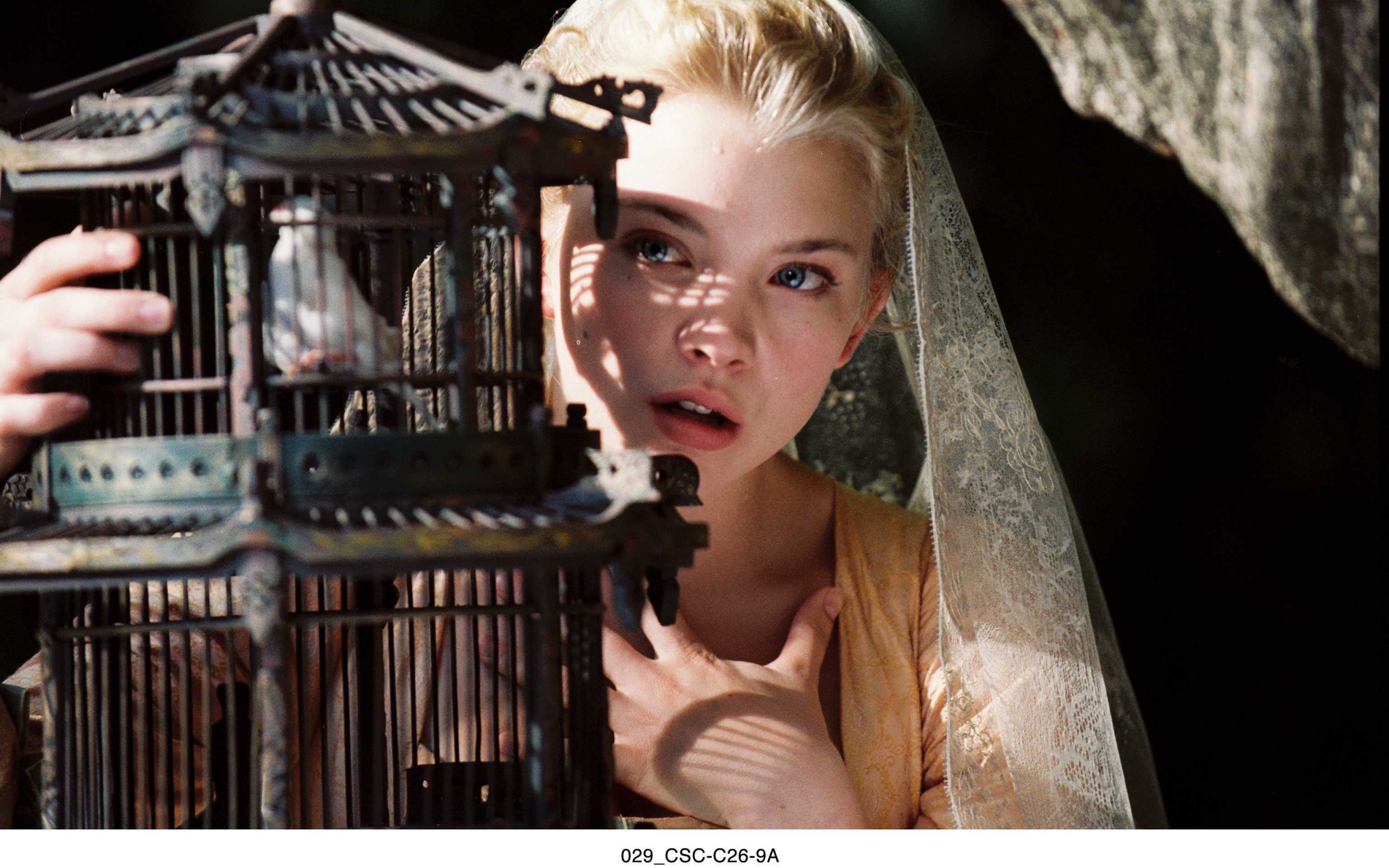 Популярная Натали Дормер