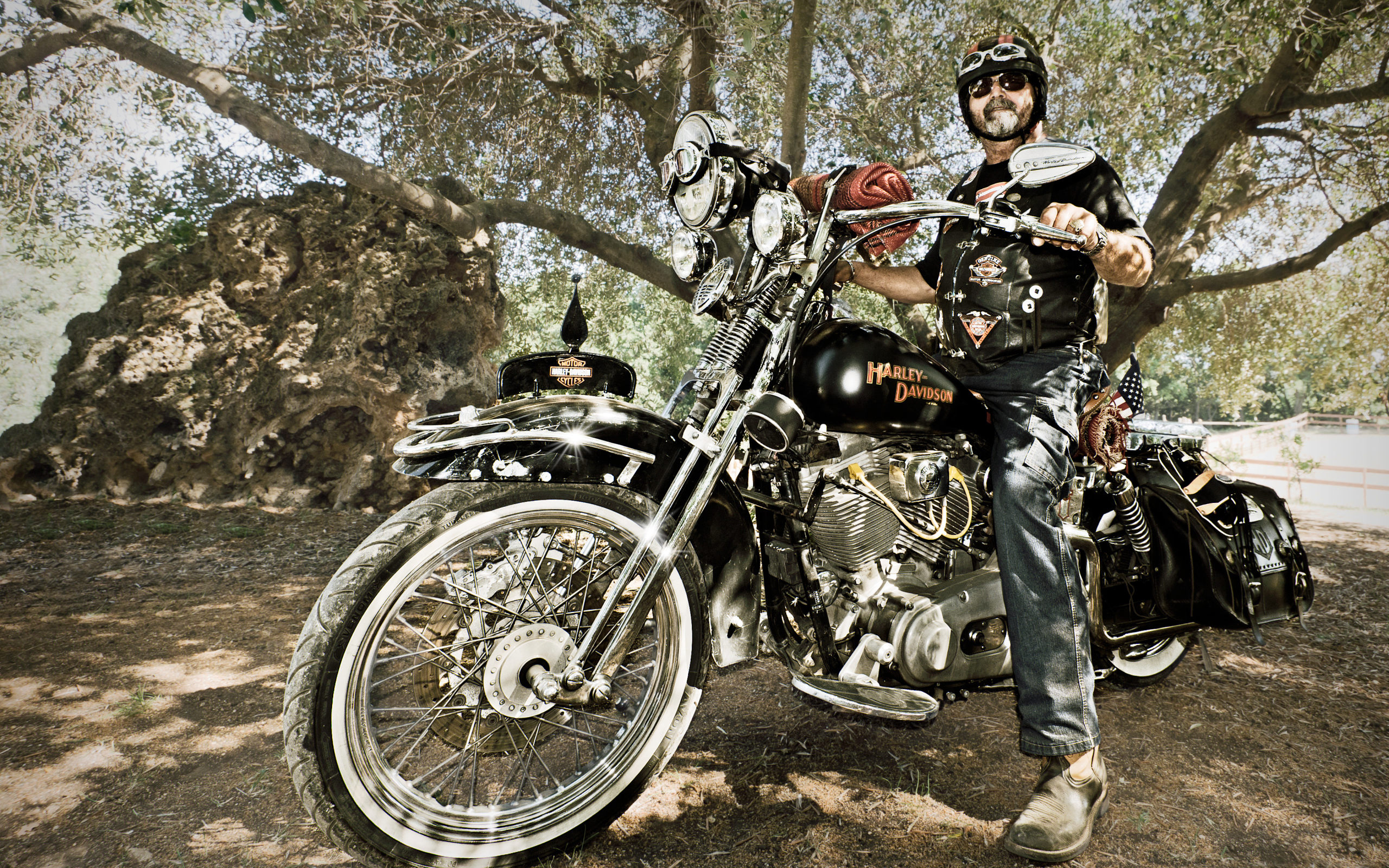 	   Biker on a Harley Davidson