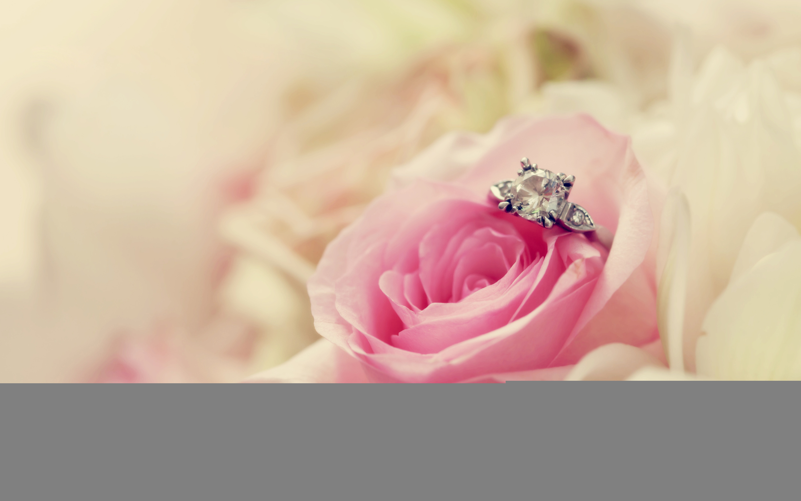 В розе лежит кольцо