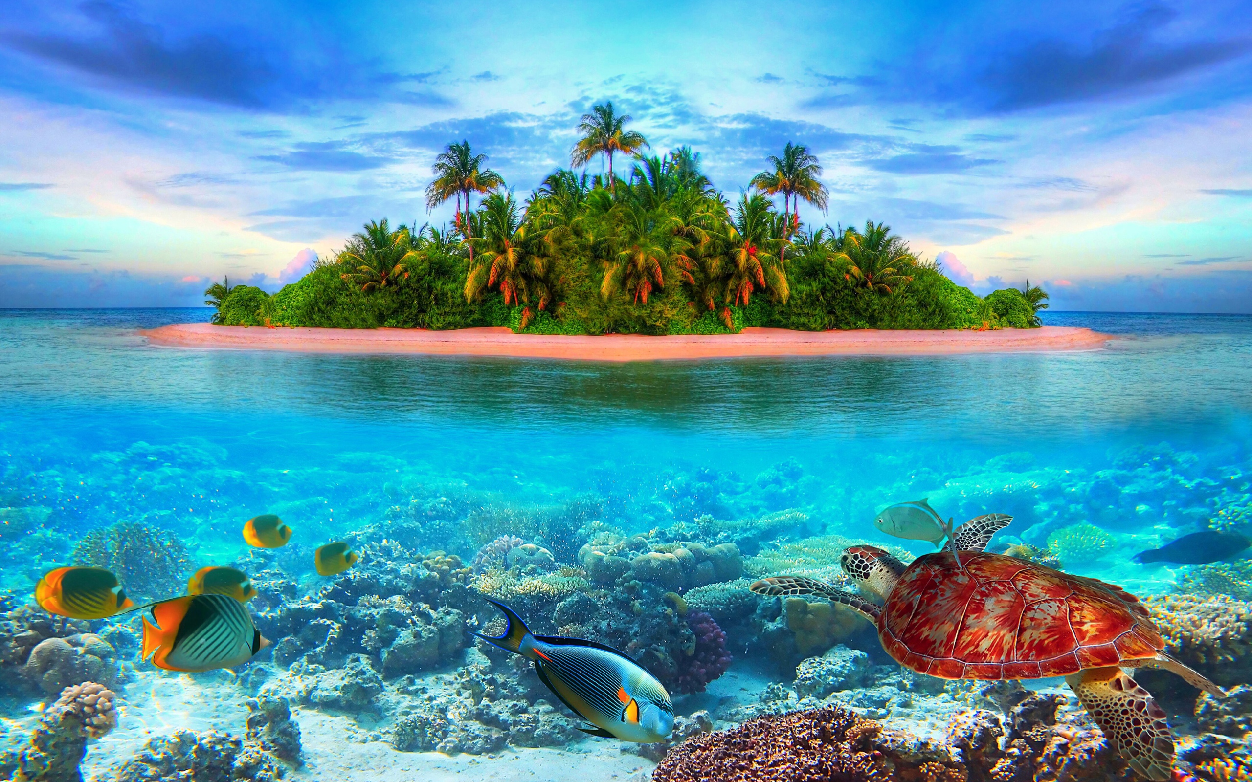 Остров в тропиках