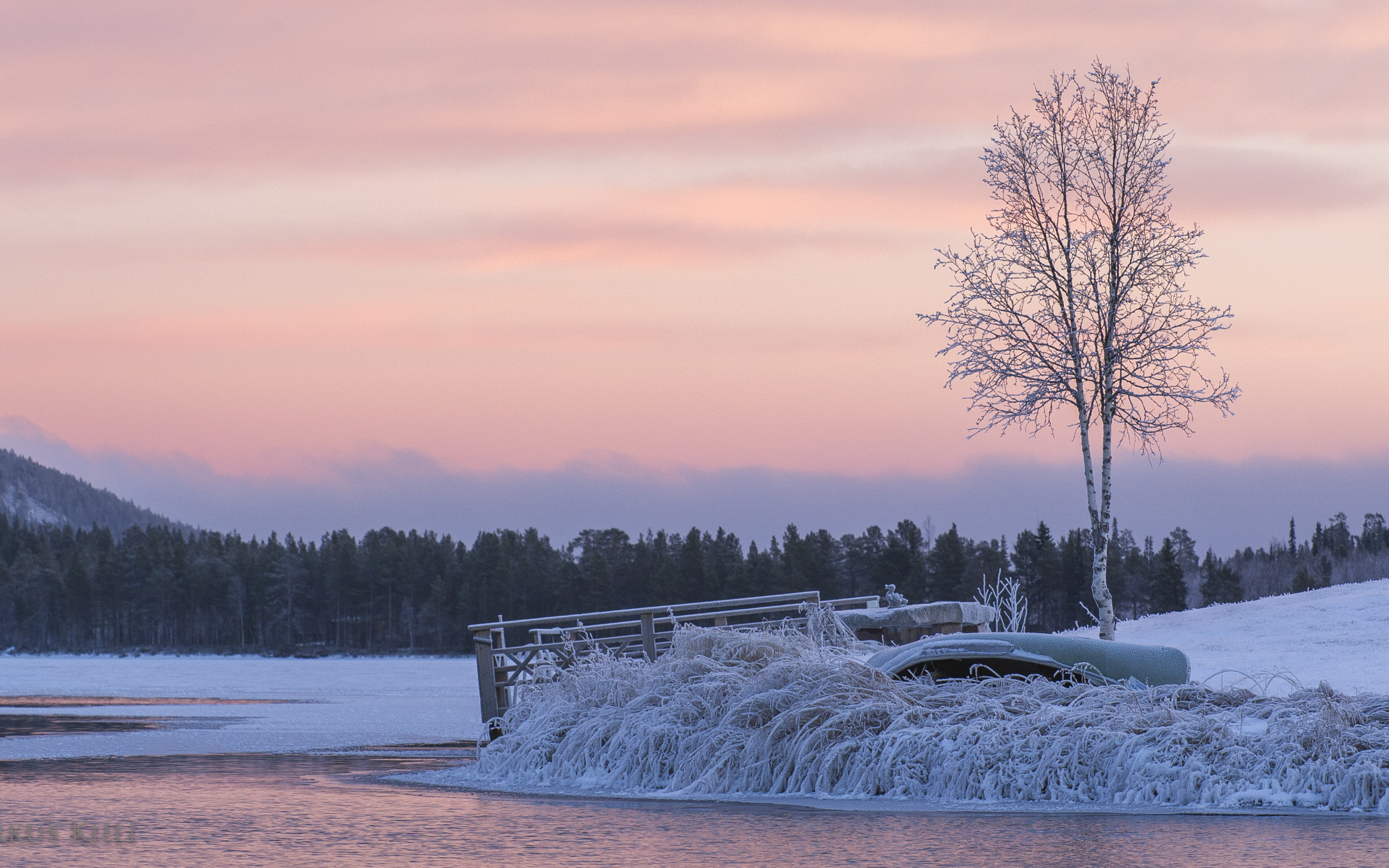 Берег зимней реки