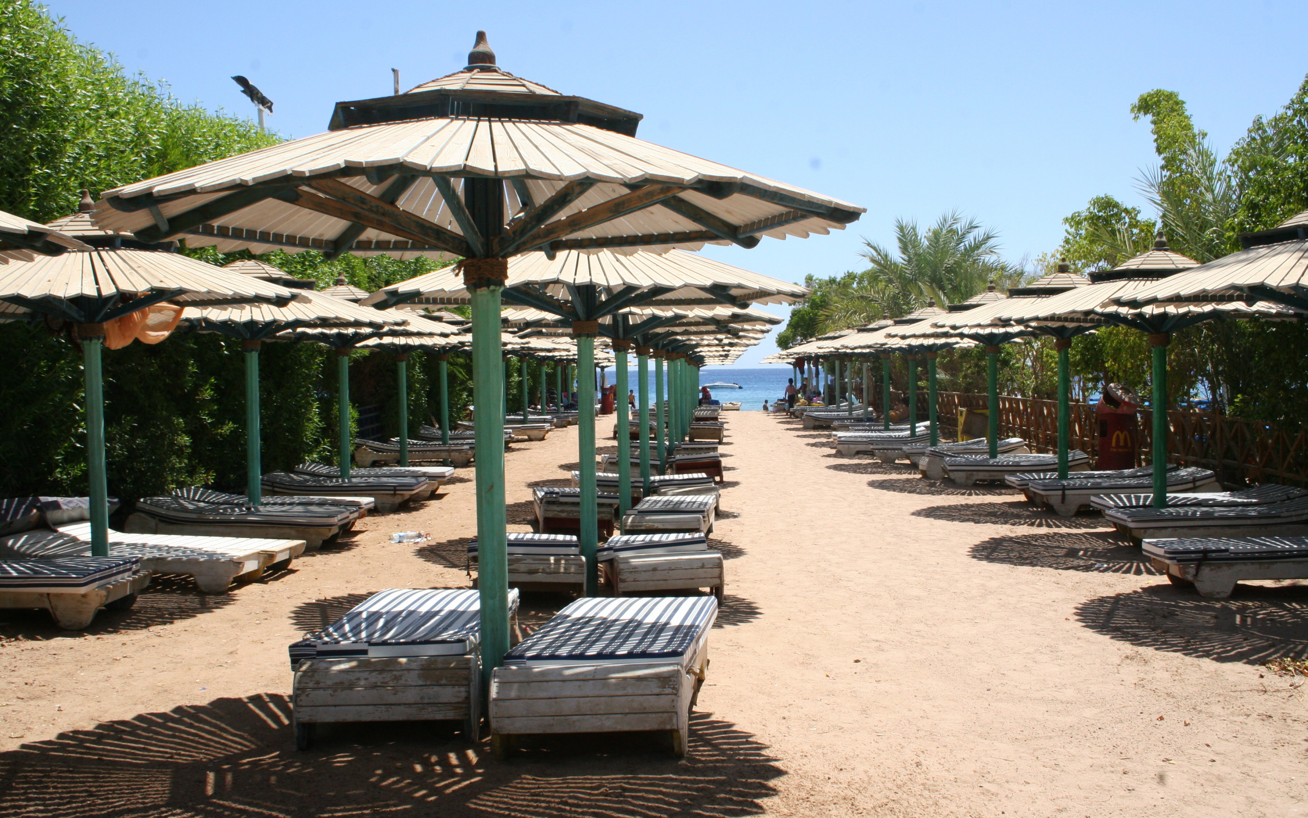 Зимний отдых на пляже на курорте Шарм эль Шейх, Египет