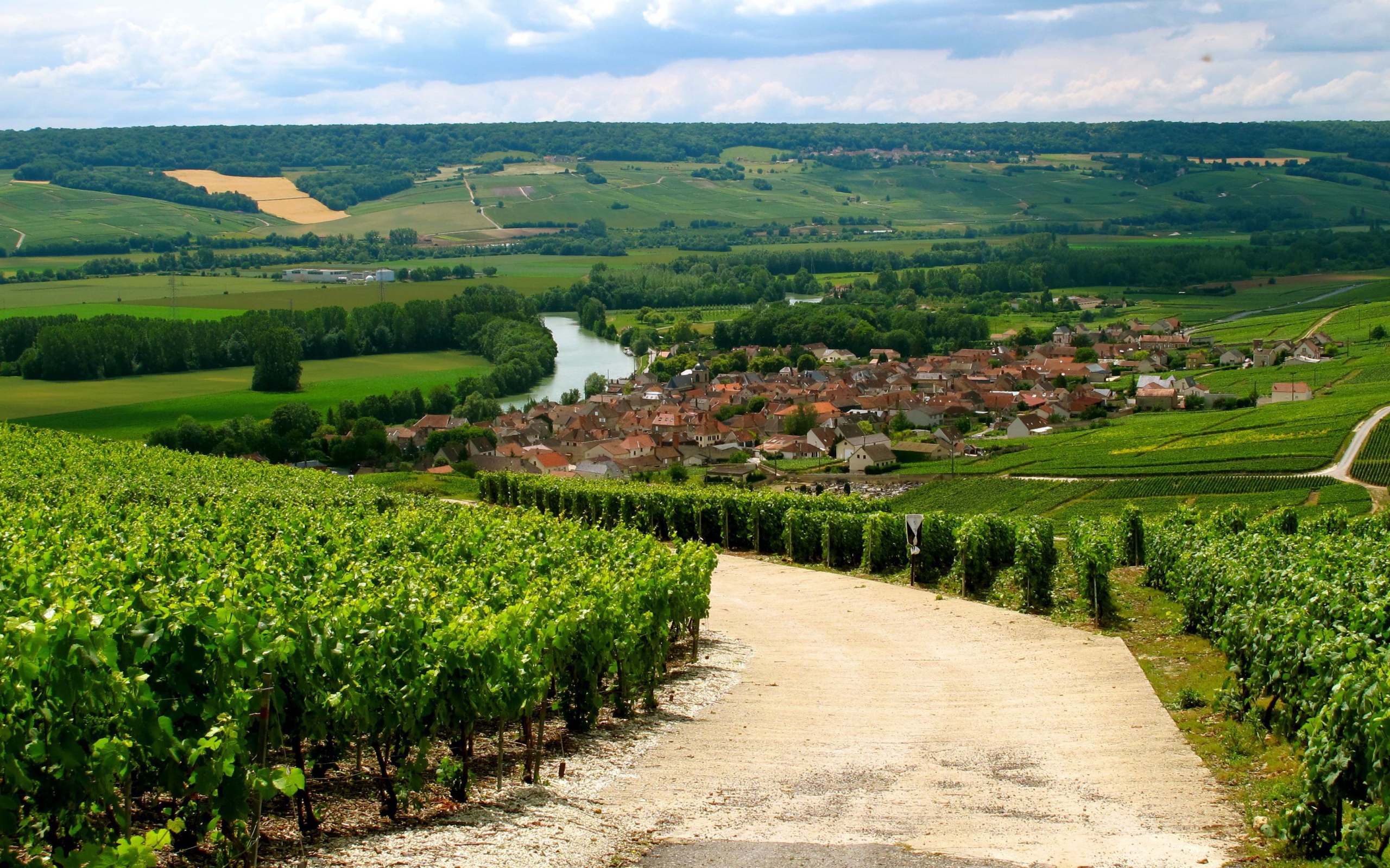 Дорога в провинции Шампань, Франция