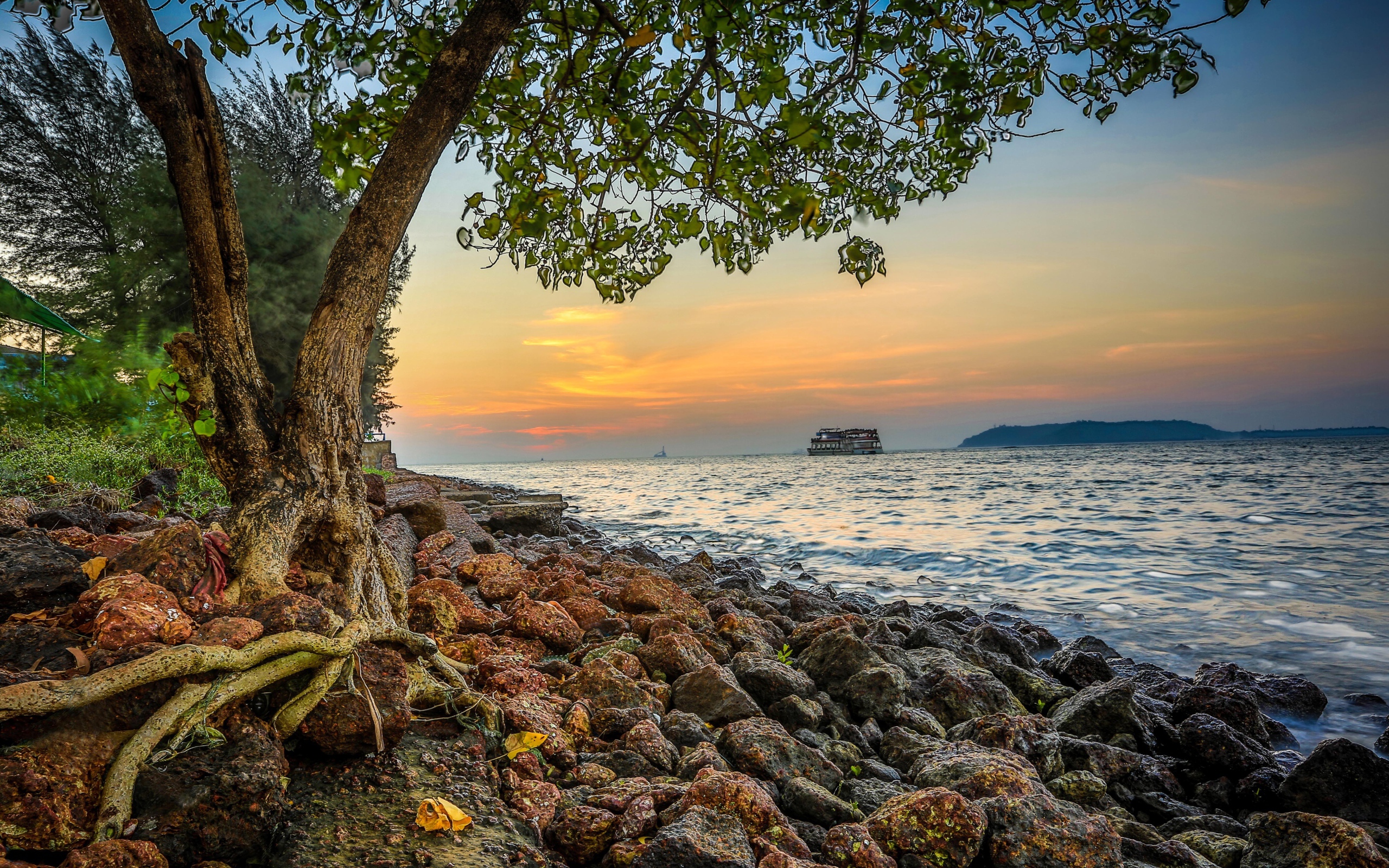 Красивые ландшафты в Гоа