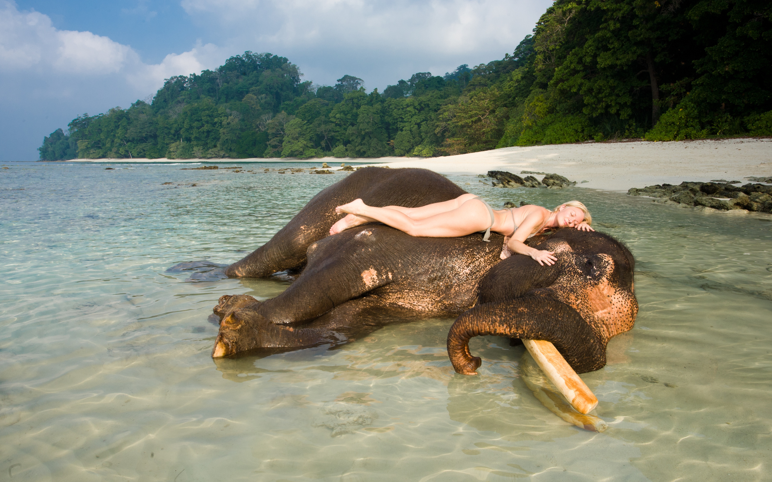Девушка на слоне на Андаманских островах